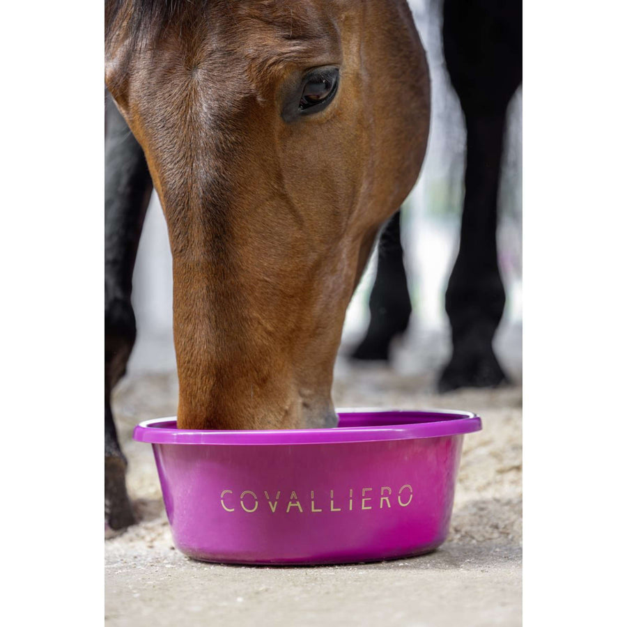 Covalliero Food Bowl SS26 Light Berry