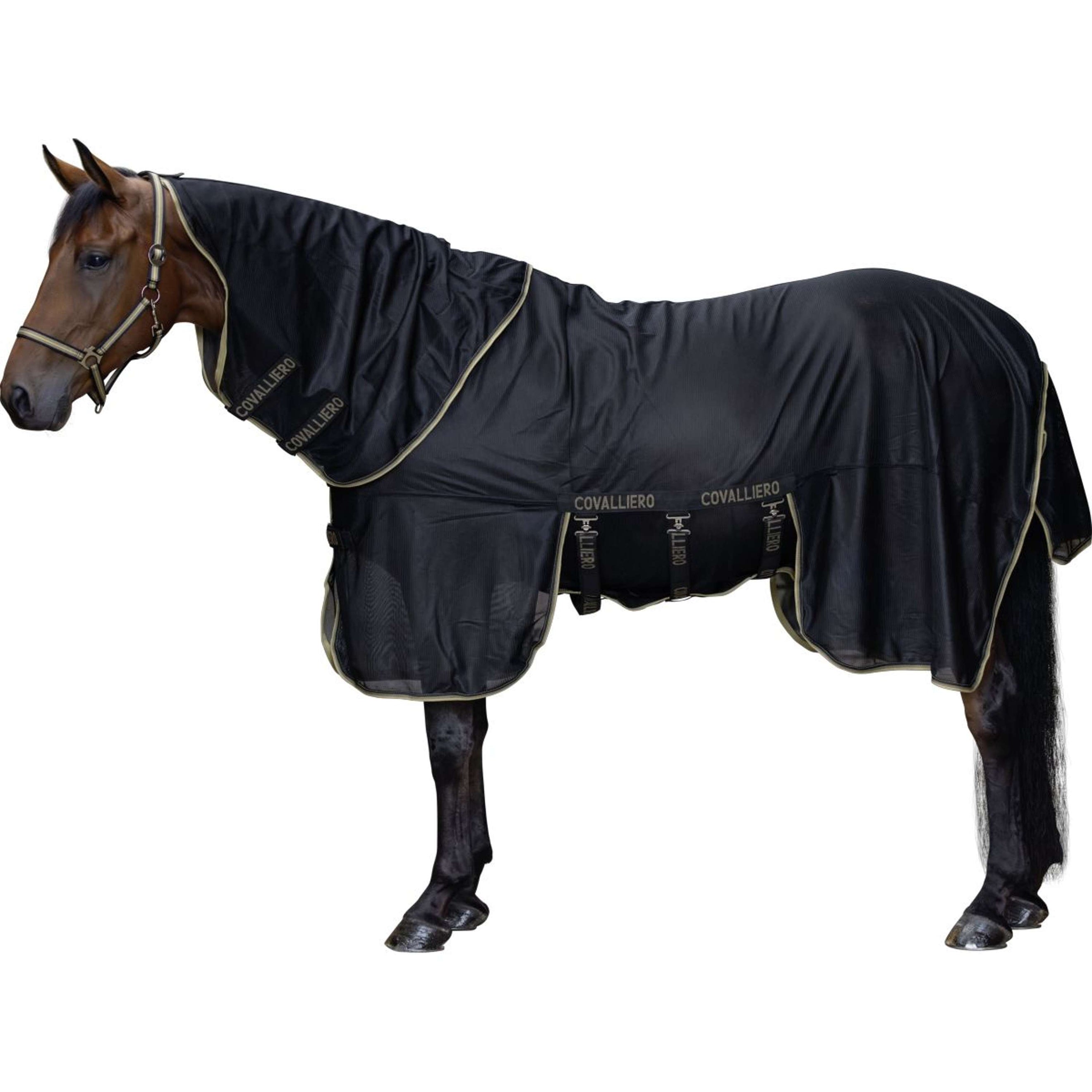 Covalliero Fly Rug SS26 Black Covalliero Fly Rug SS26 Black