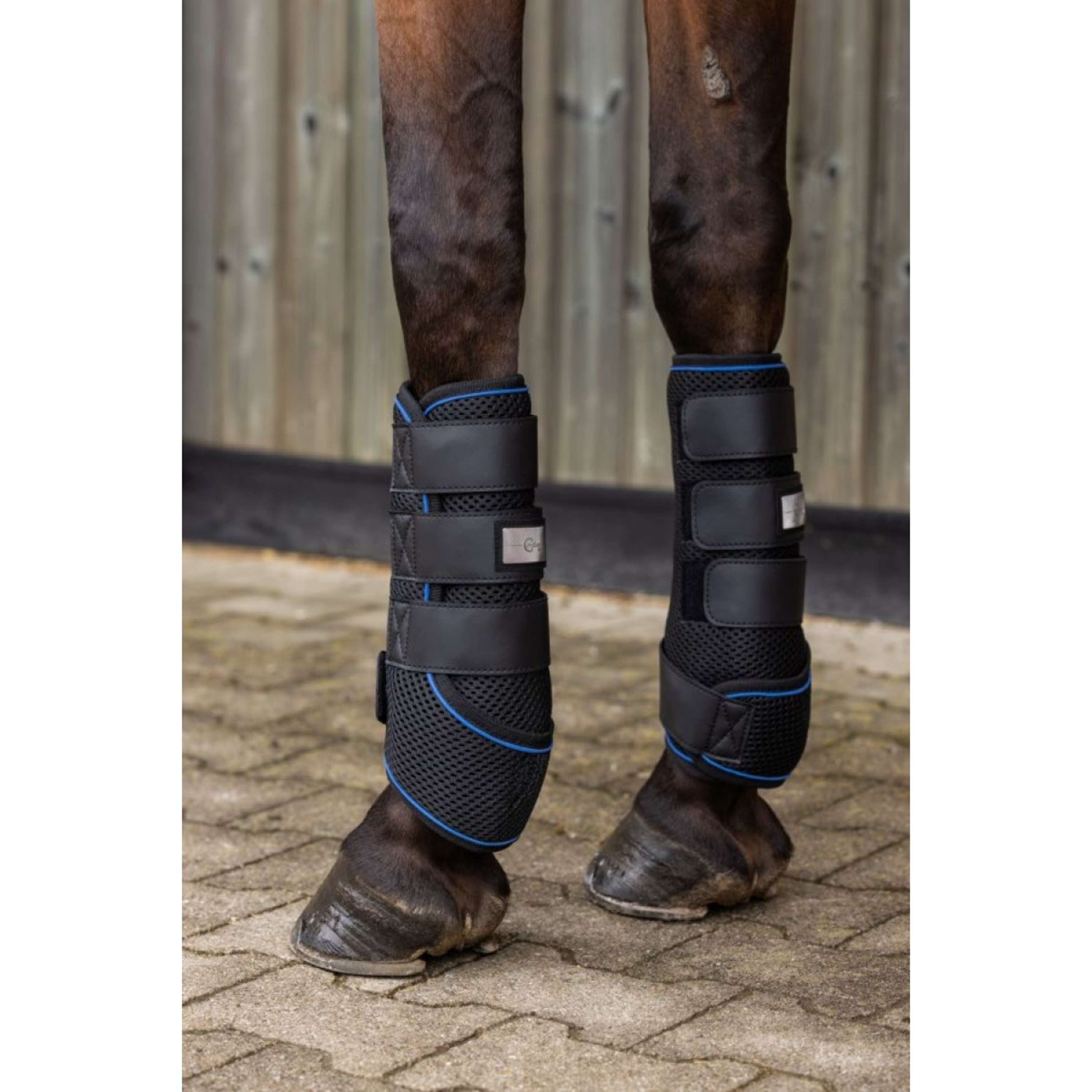 Covalliero Leg Protectors Cooling Black/Blue