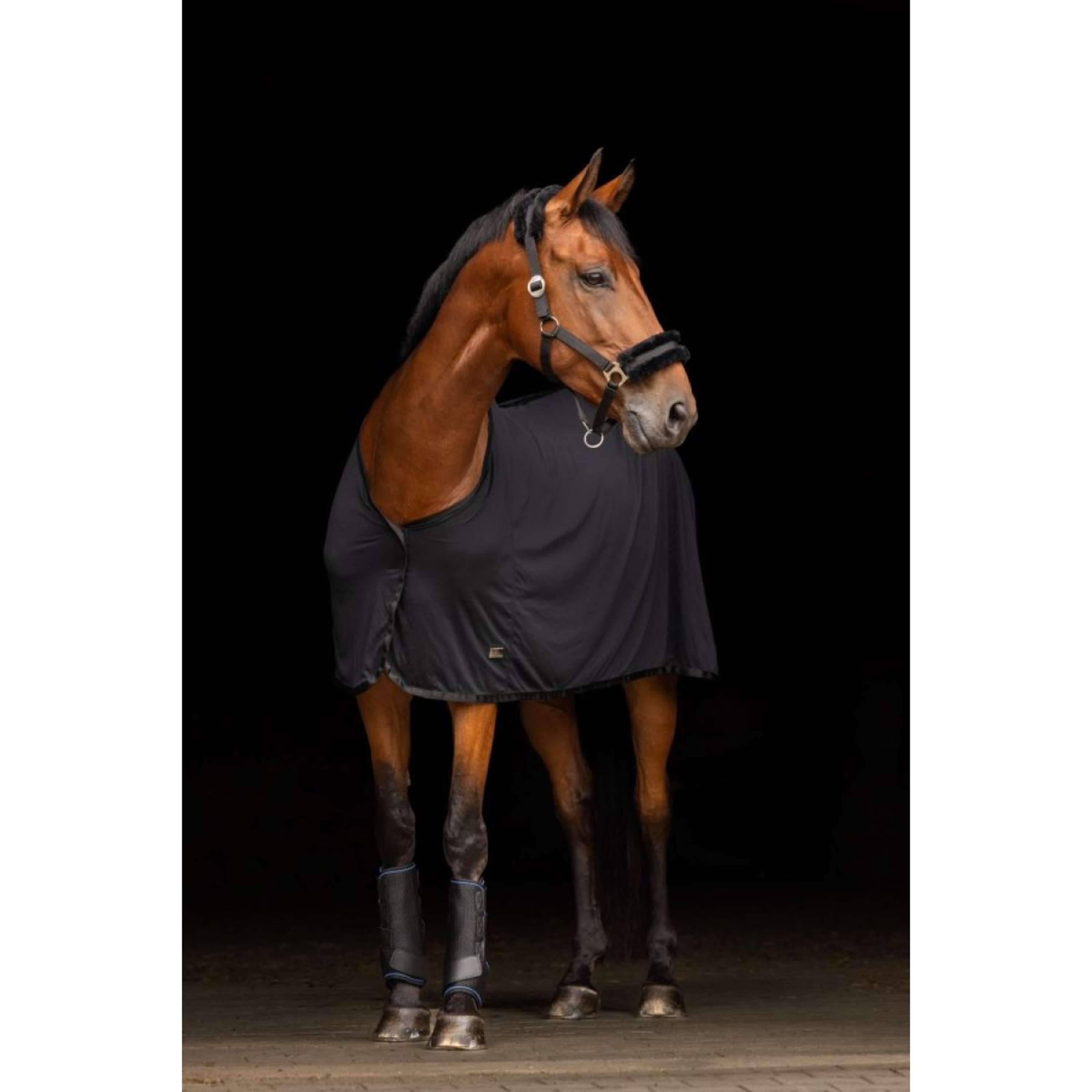 Covalliero Cooler Cooling Black