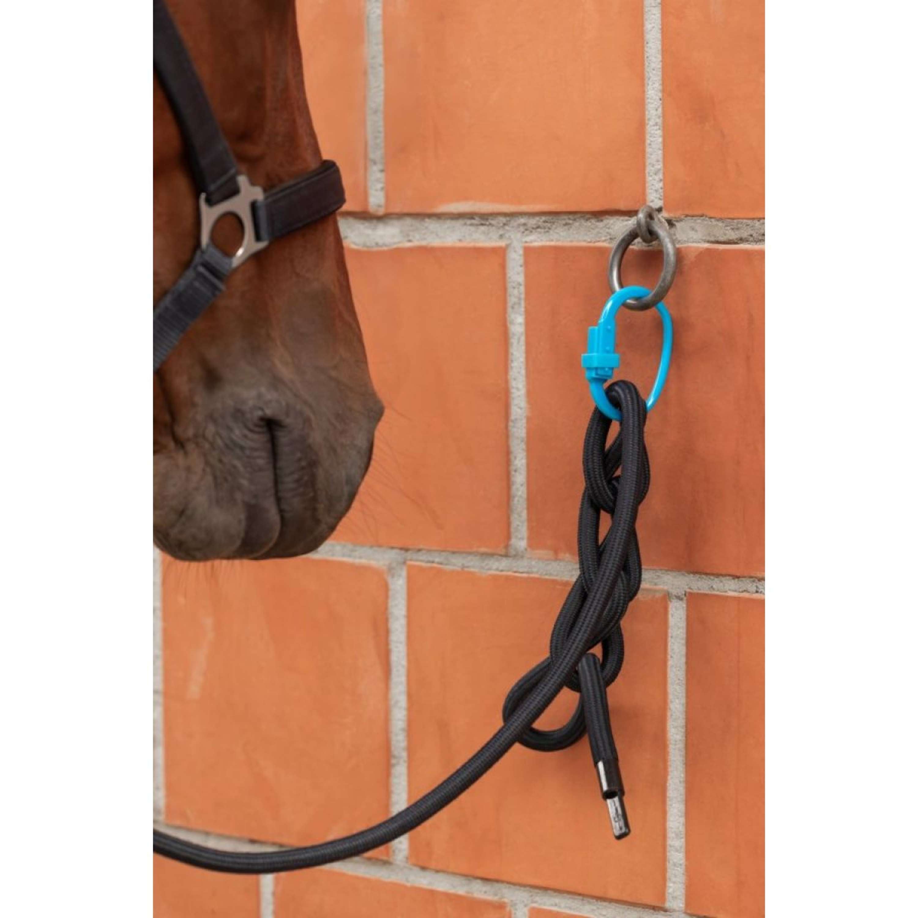 Kerbl Safetyring Safety Tie-Down Red/Black/Blue
