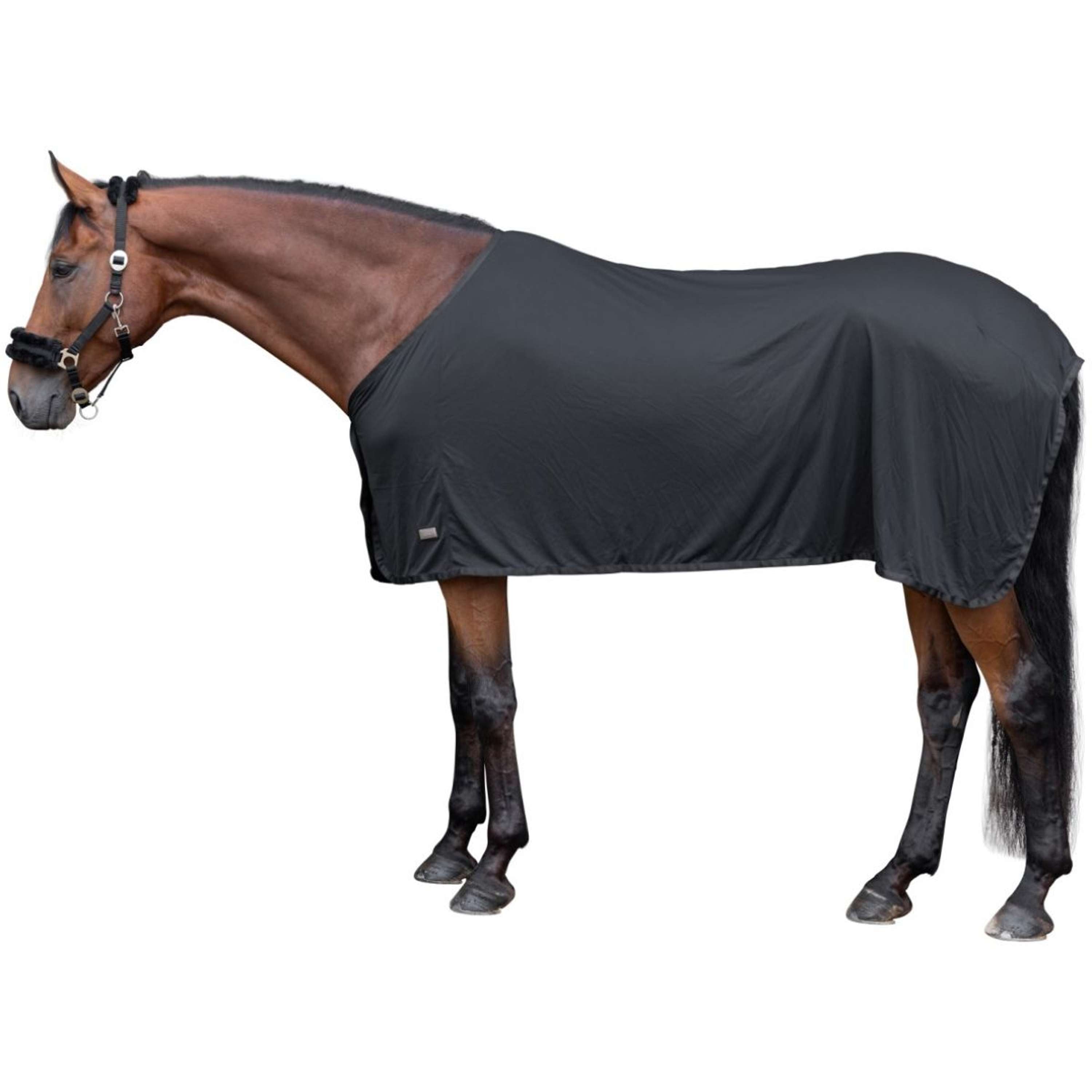 Covalliero Cooler Cooling Black