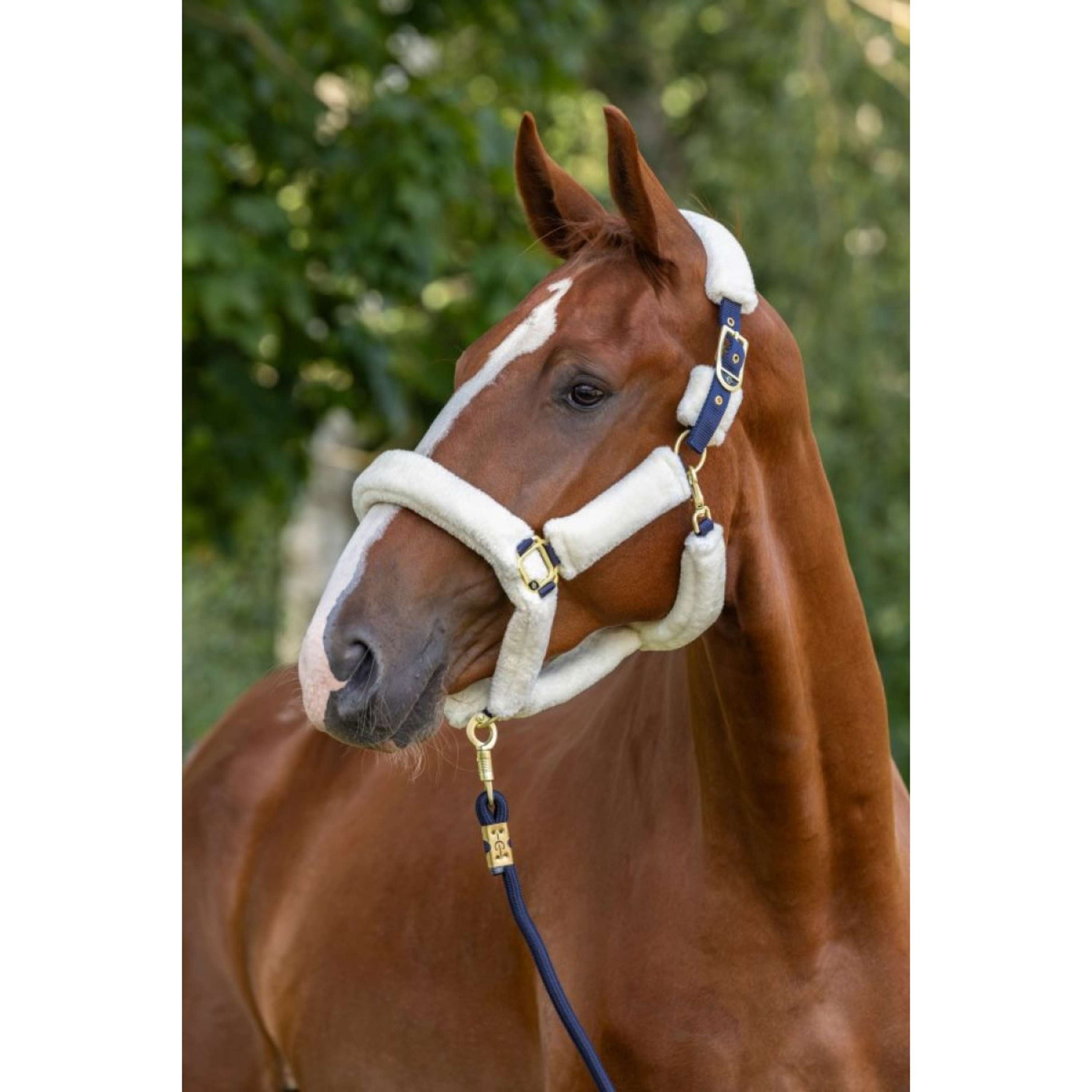 Covalliero Halter Supersoft 2.0 Blue