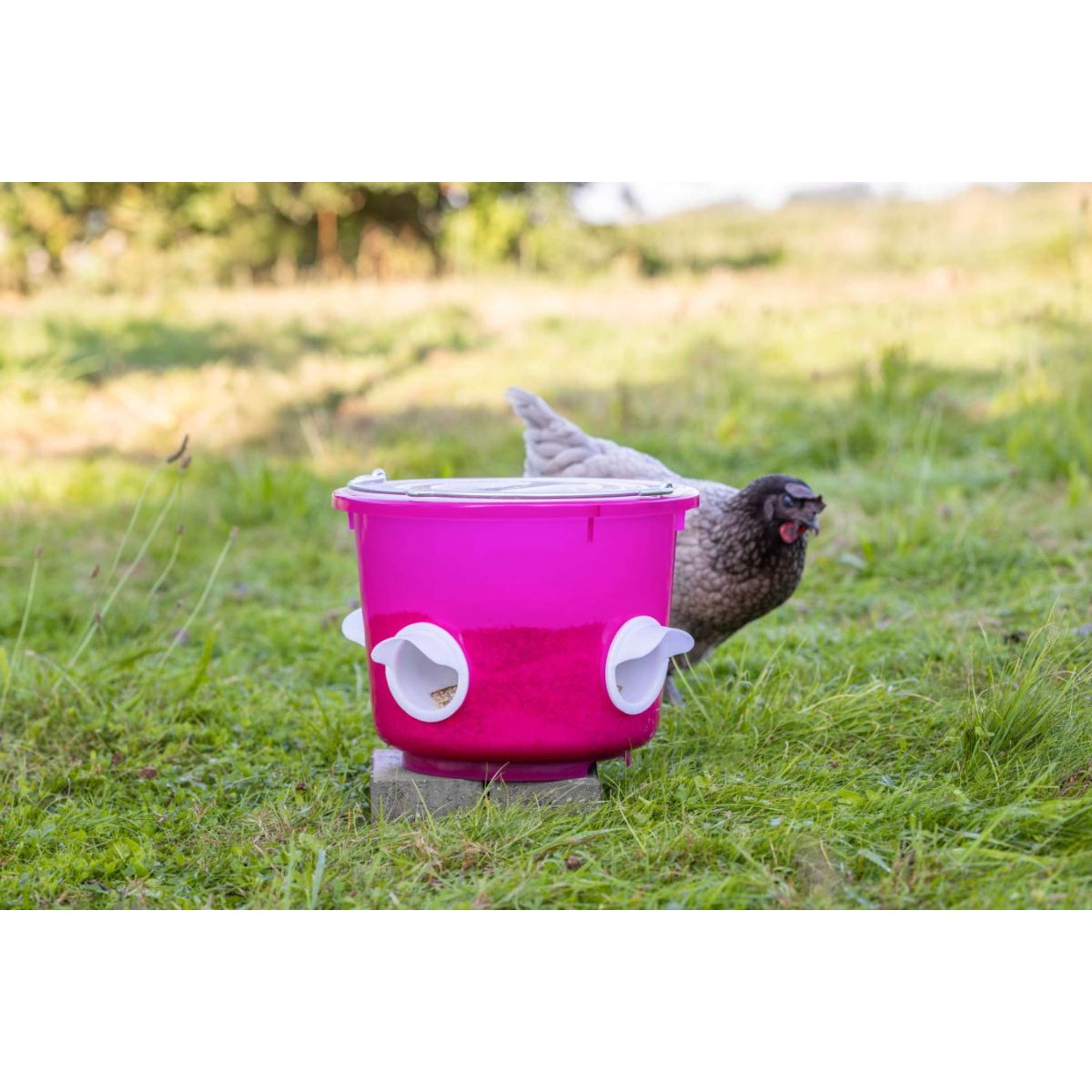 Kerbl Food Bucket Chickens Pink