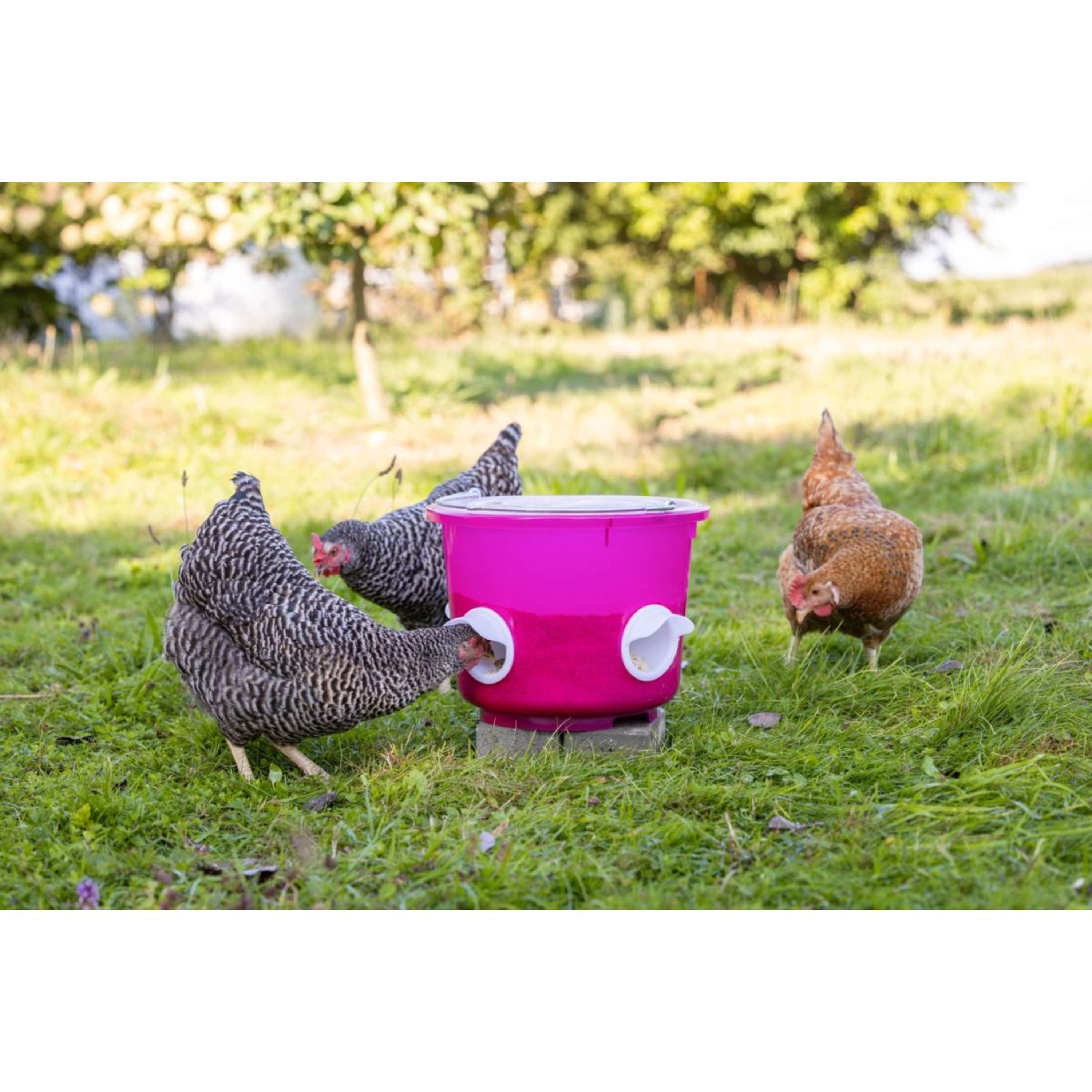 Kerbl Food Bucket Chickens Pink
