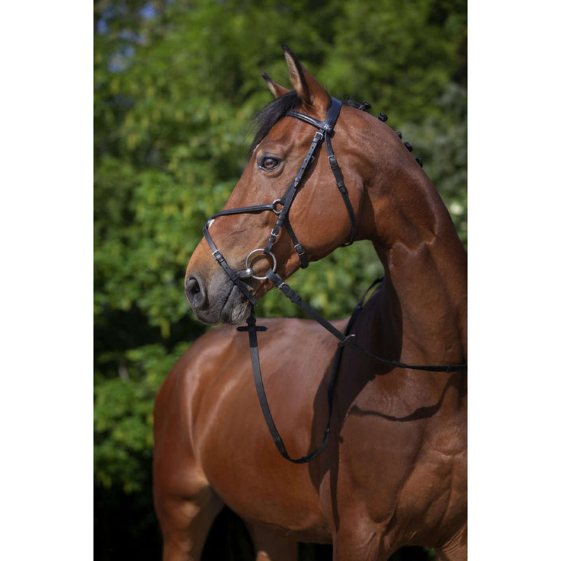 Riding World Bridle Muserolle Croisée Black