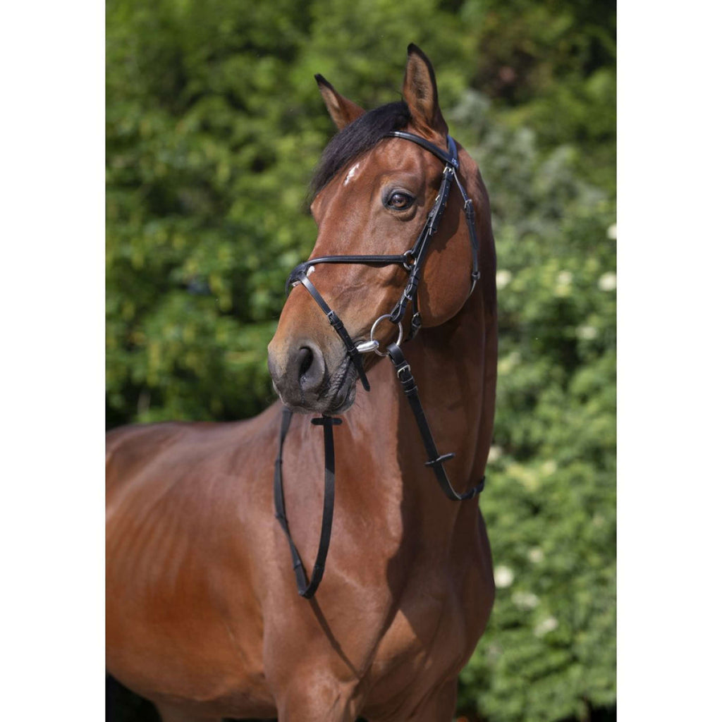 Riding World Bridle Muserolle Croisée Black
