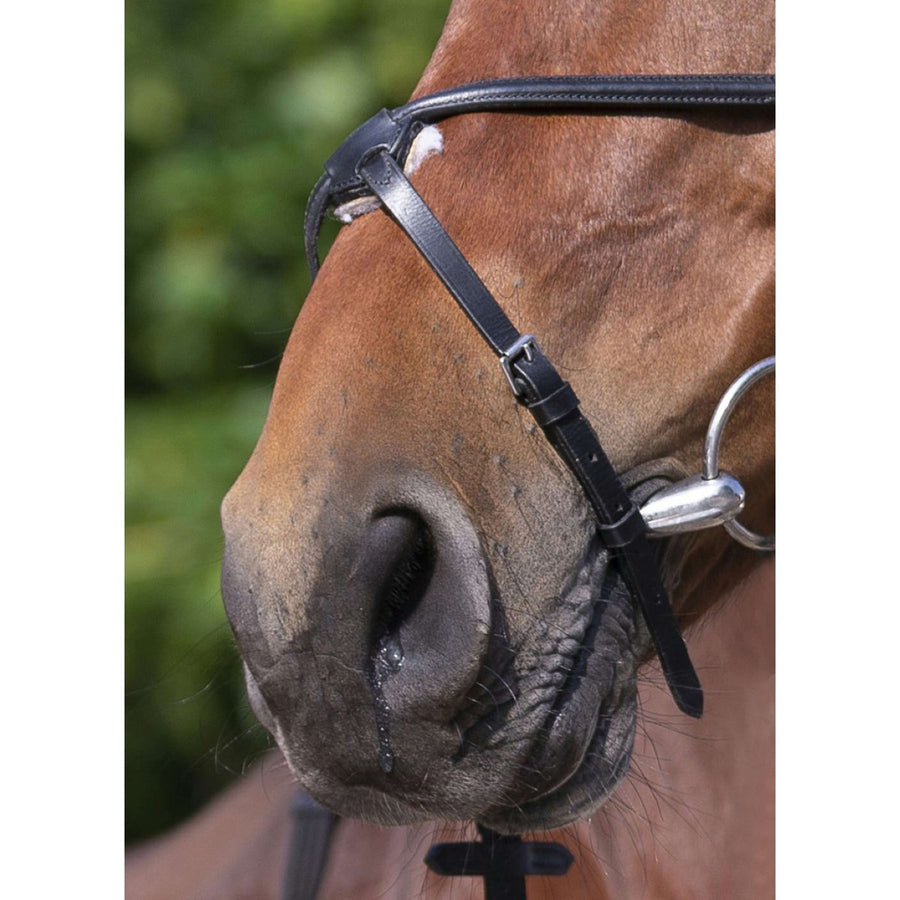 Riding World Bridle Muserolle Croisée Black