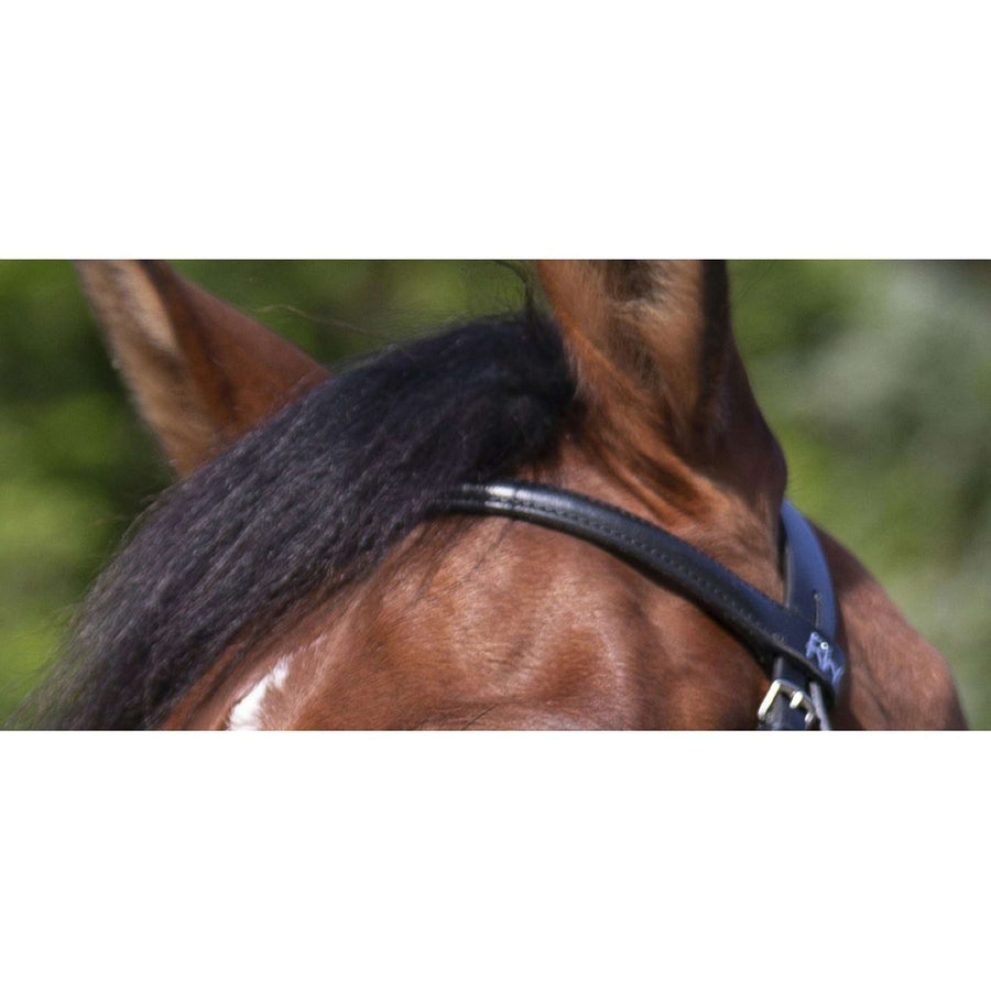 Riding World Bridle Muserolle Croisée Black