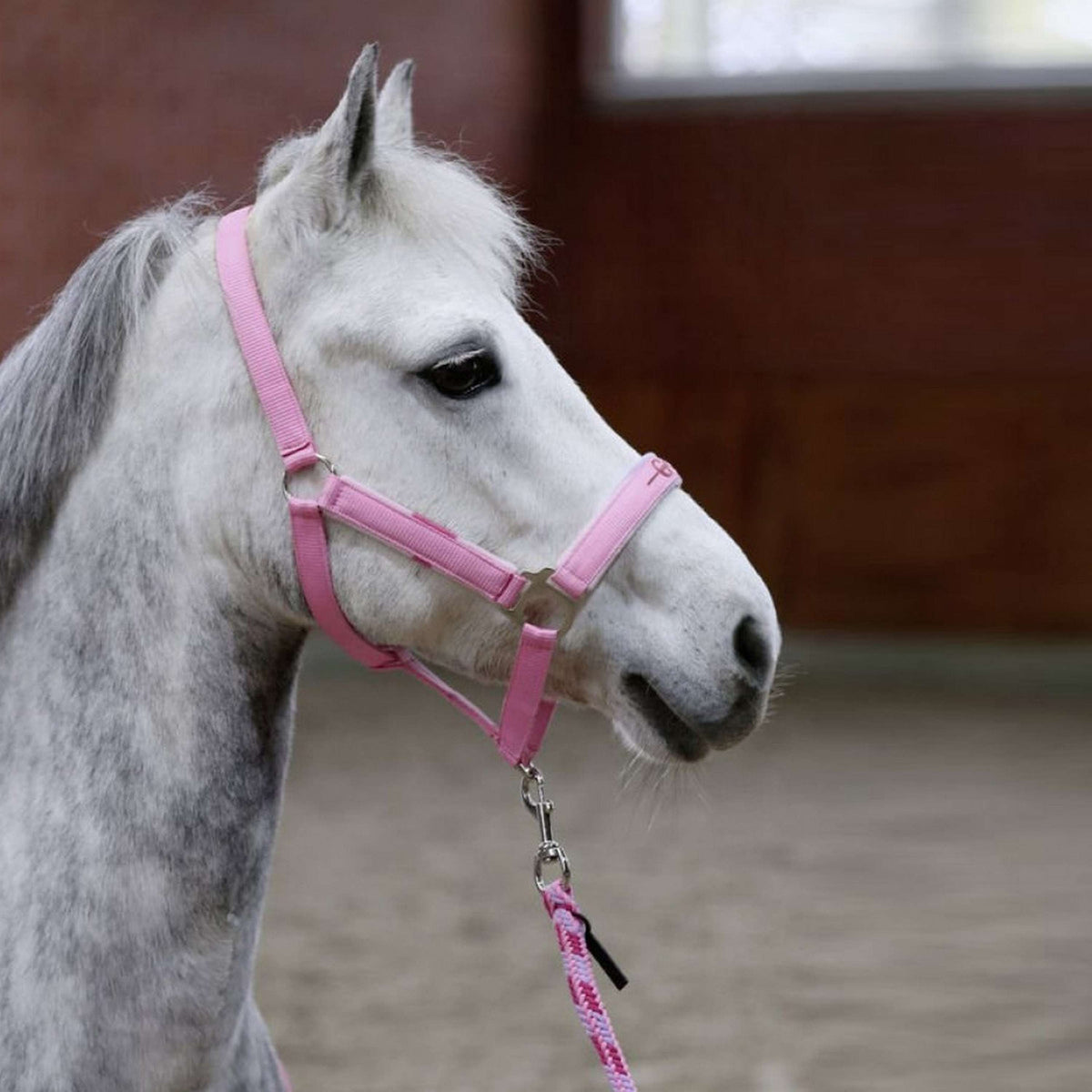 Covalliero Head Collar Set Lili Starlight