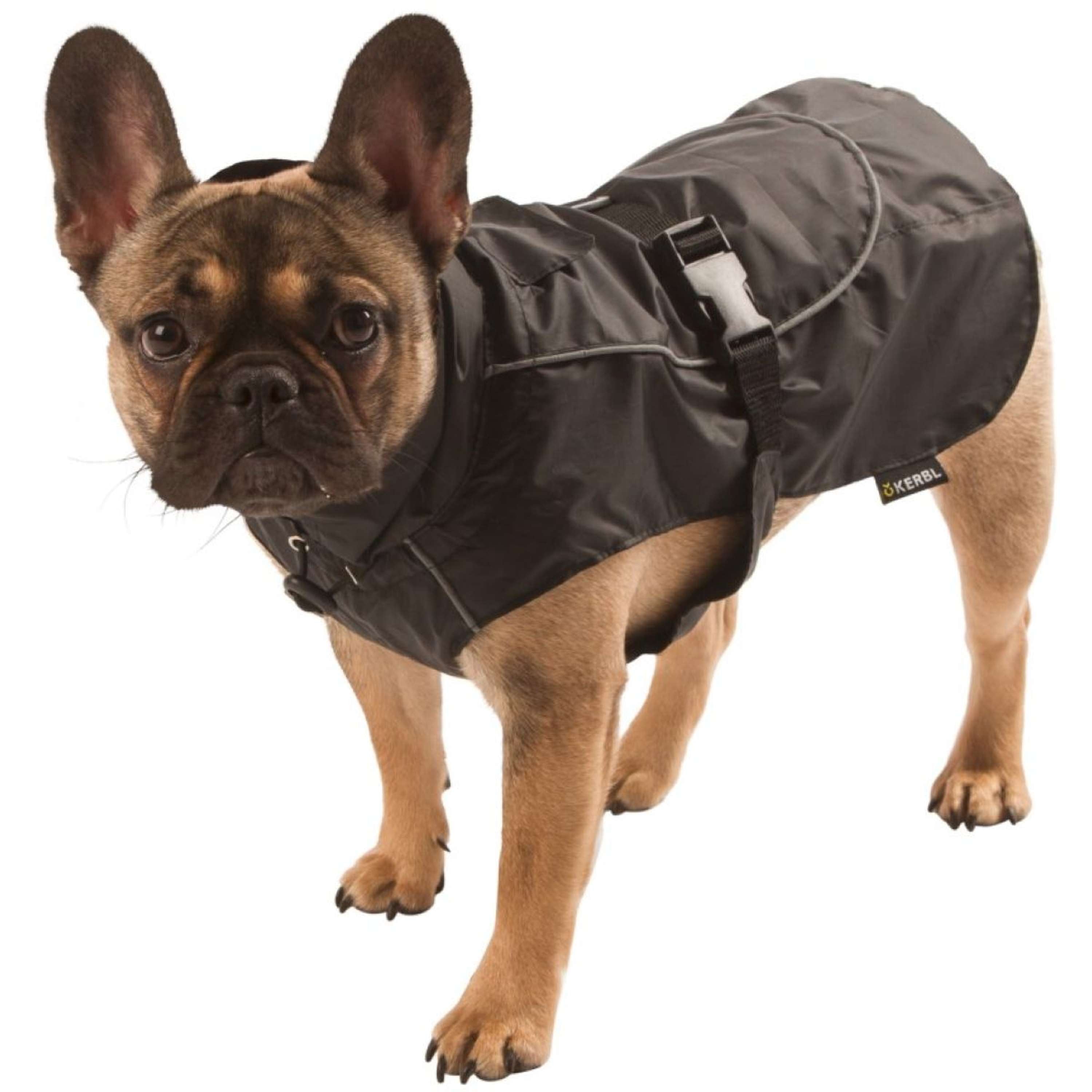 Covalliero Dog Rain Coat Forks Black