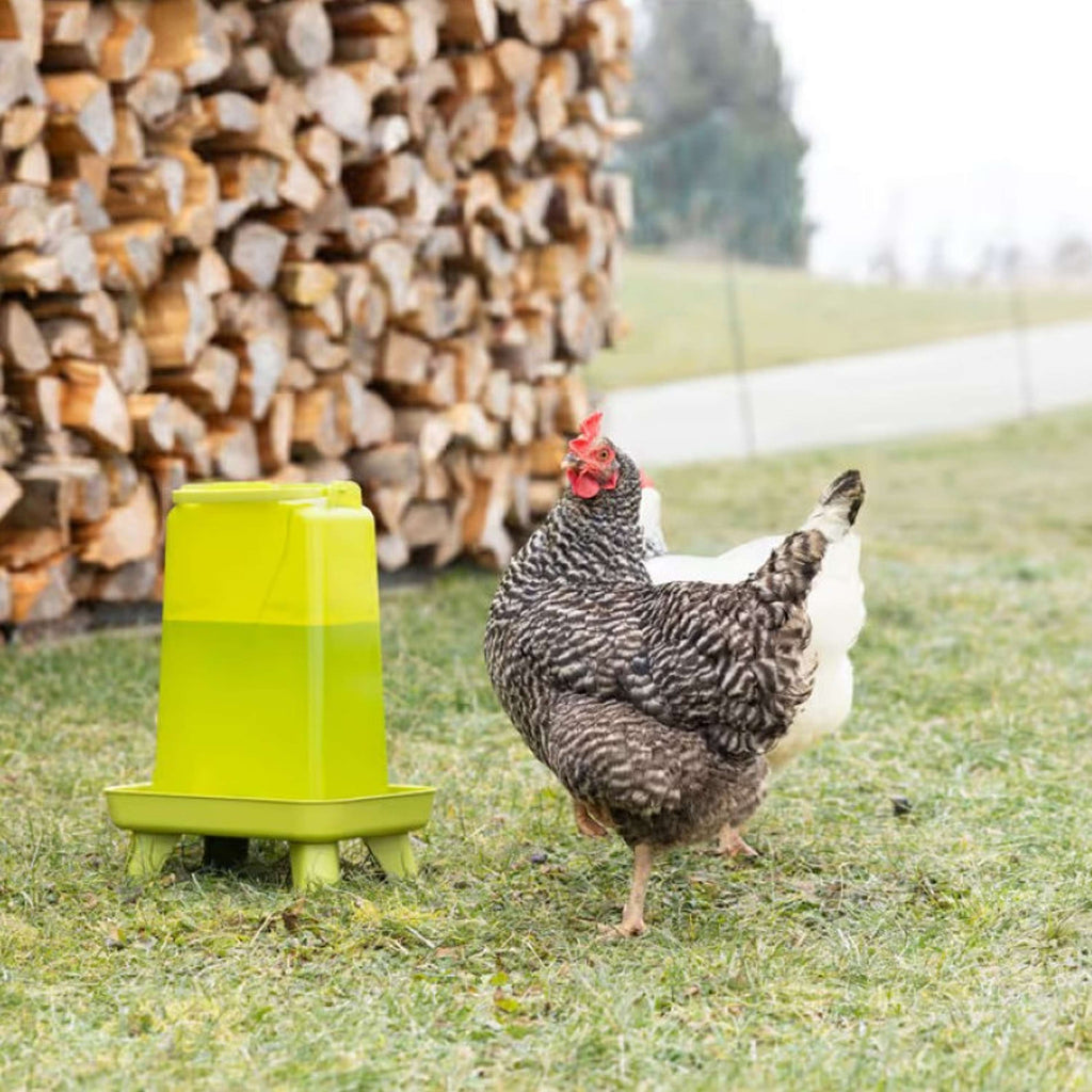 Kerbl Poultry Drinking Trough on a Stand Green