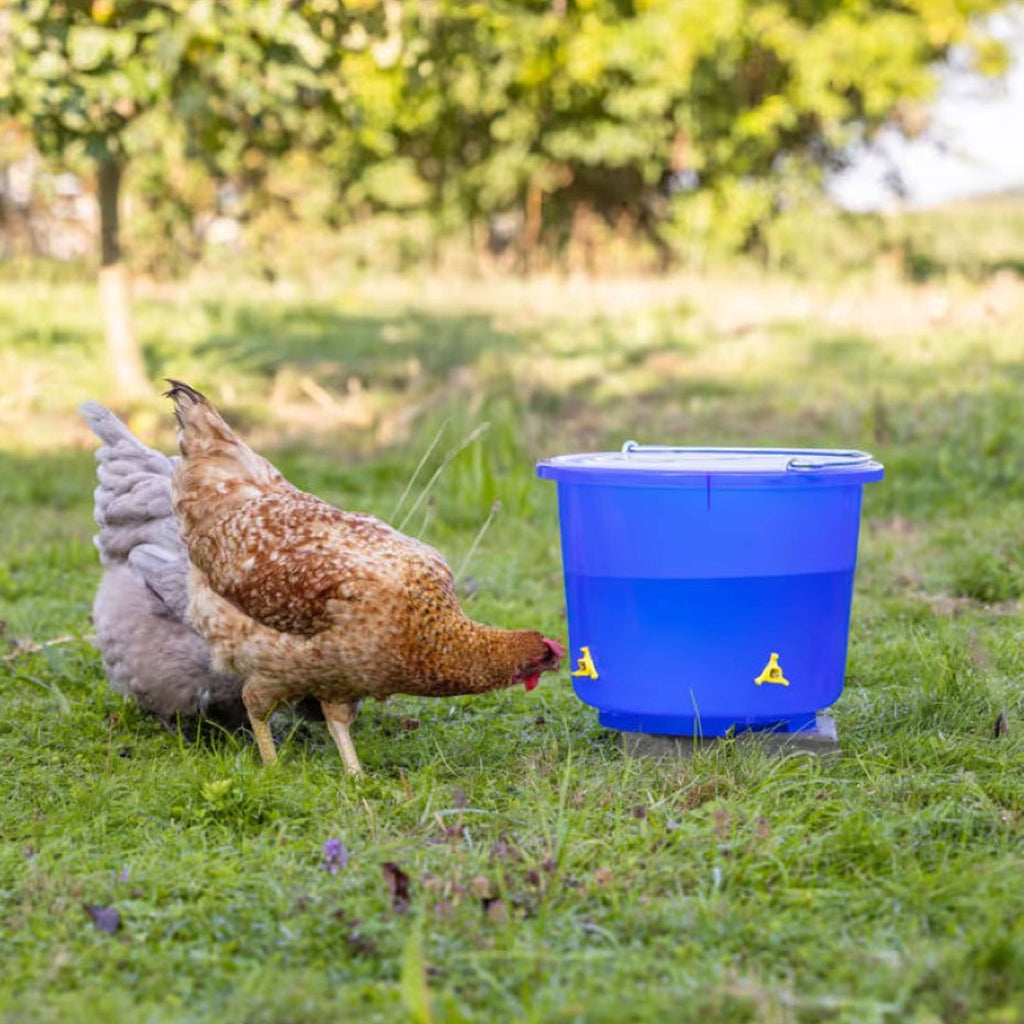 Kerbl Poultry Drinking Bucket with 4 nipple drinkers Blue