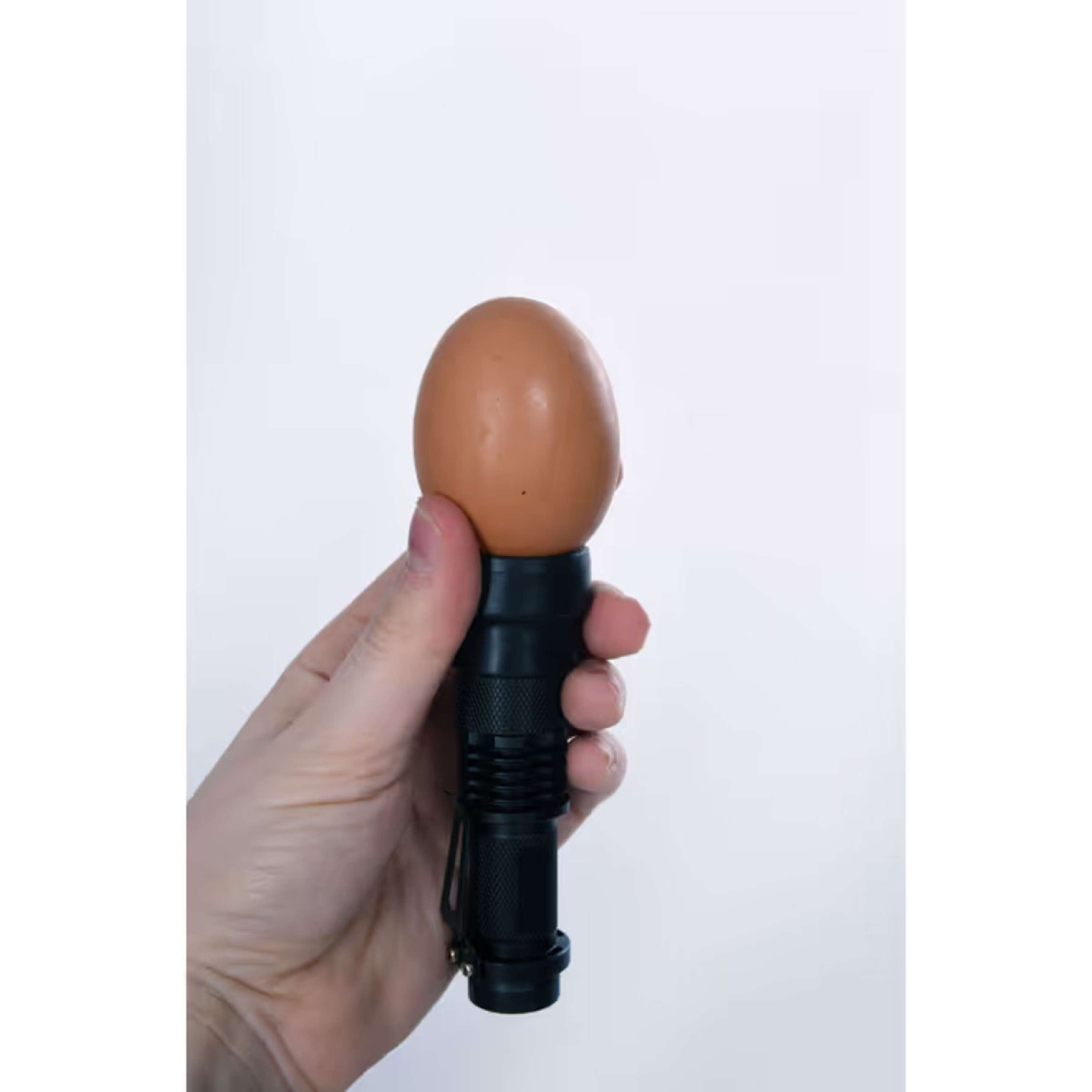 Kerbl LED Candling Lamp Black