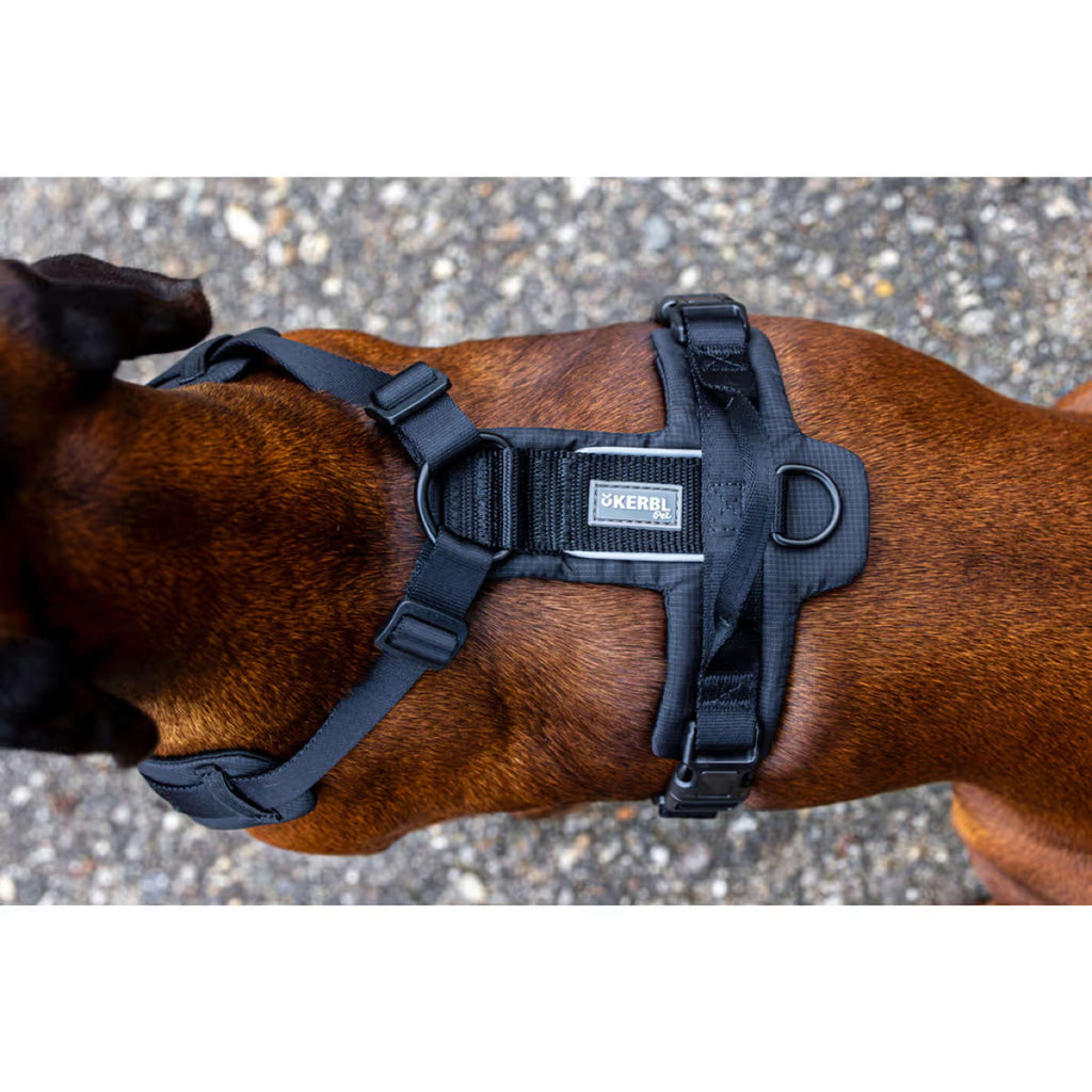 Kerbl Dog Harness Dallas Black