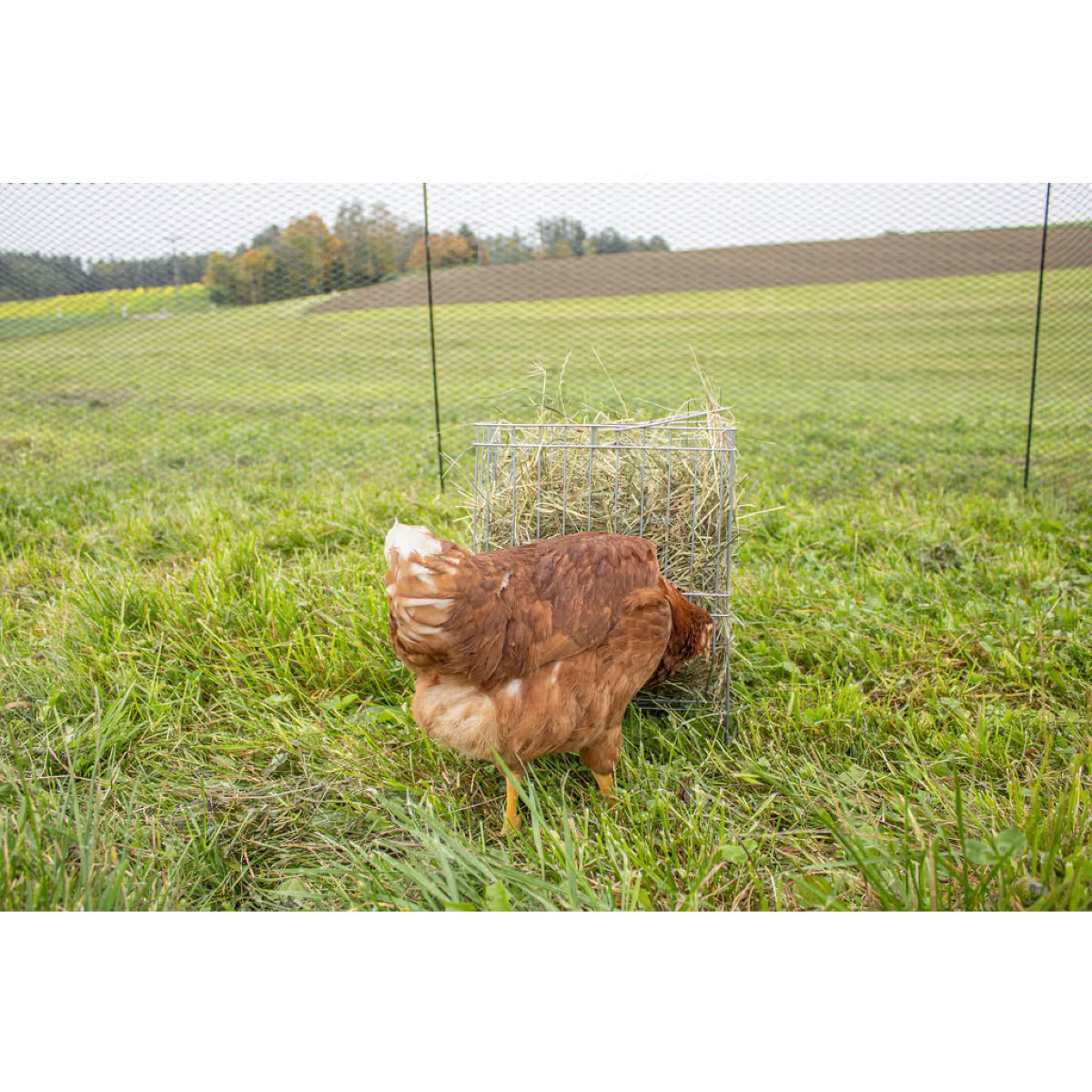 Kerbl Hay Rack Standing Metal