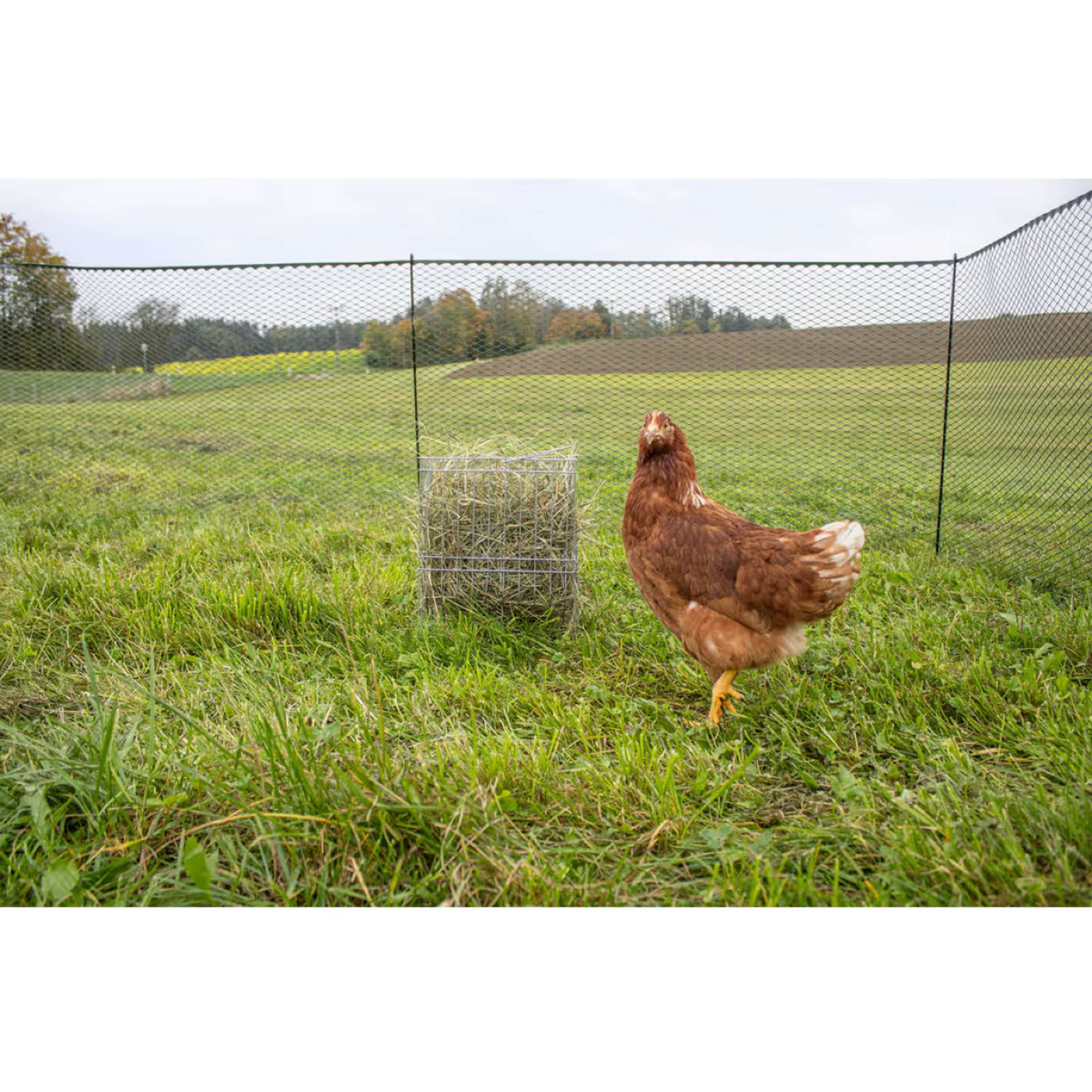 Kerbl Hay Rack Standing Metal
