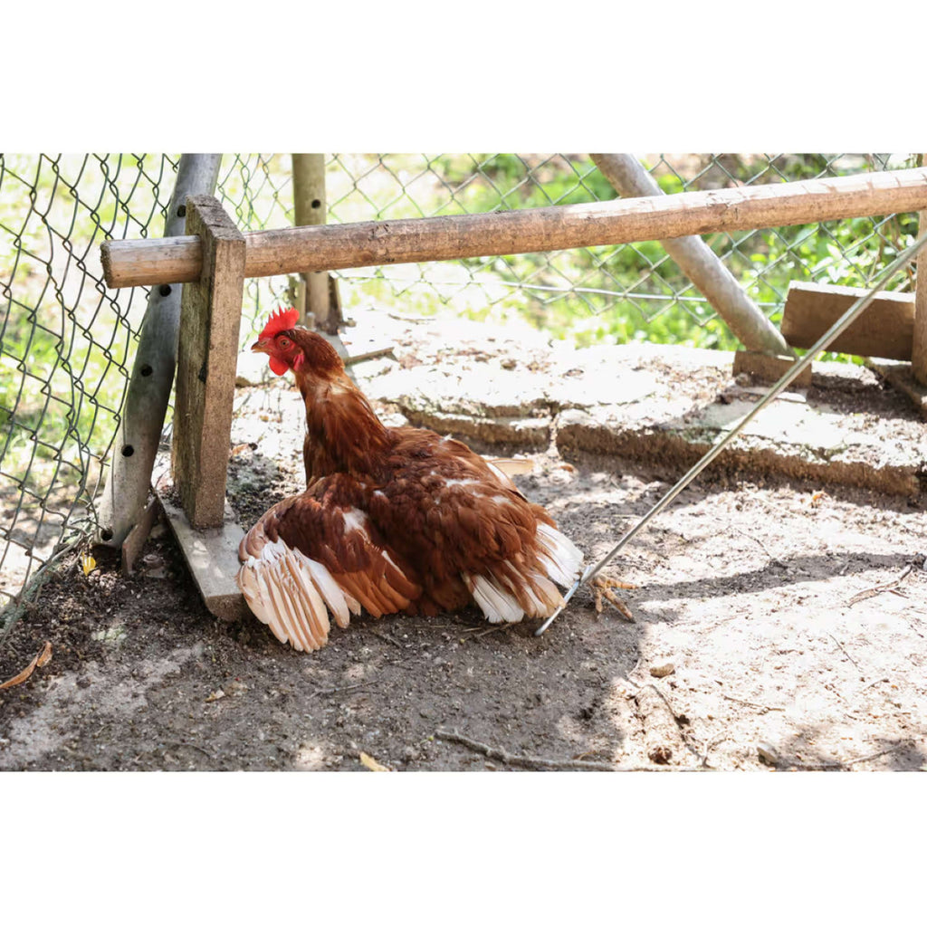 Kerbl Hook for Chickens Metal