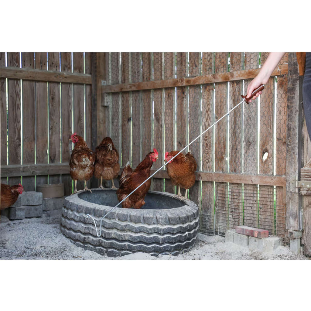Kerbl Hook for Chickens Metal