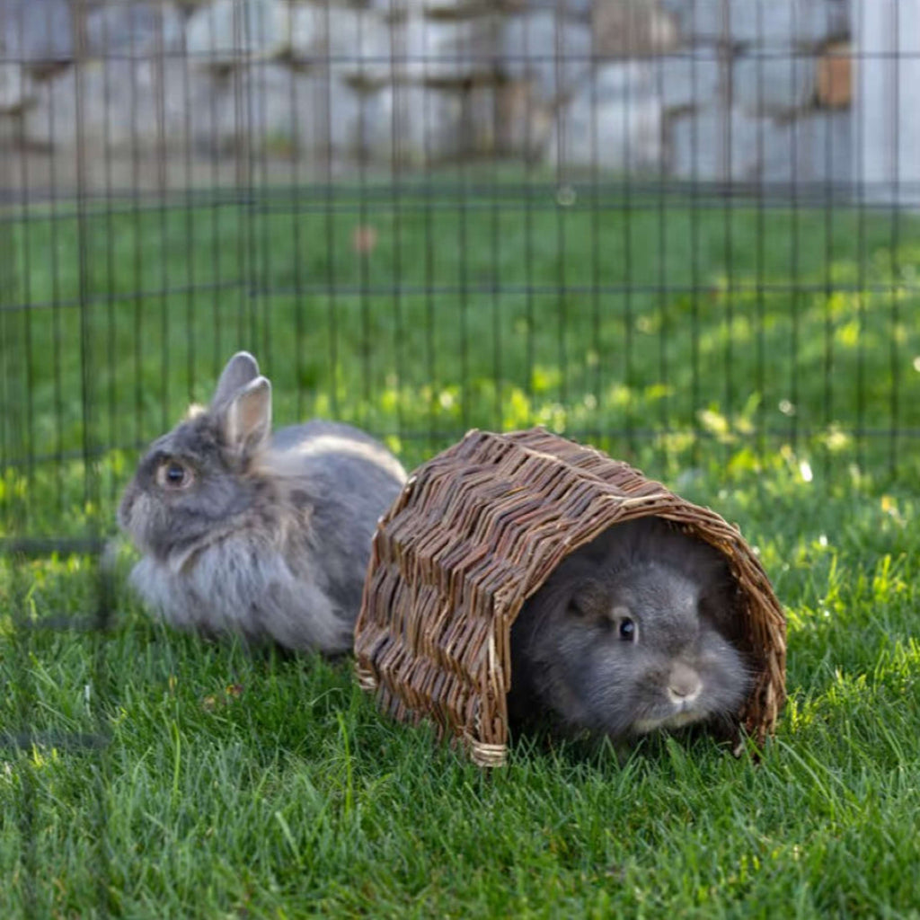 Kerbl Rabbit Tunnel Nature