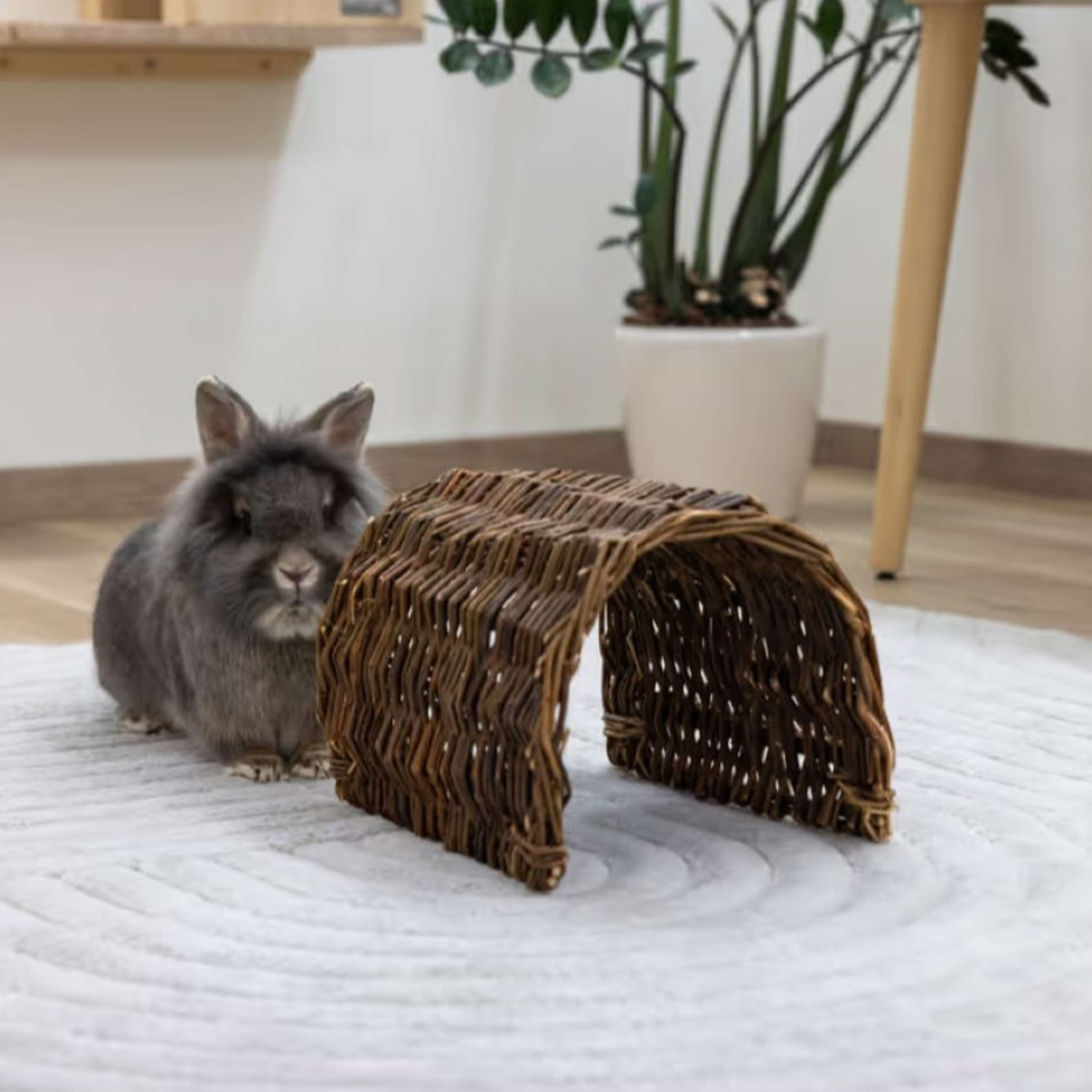 Kerbl Rabbit Tunnel Nature