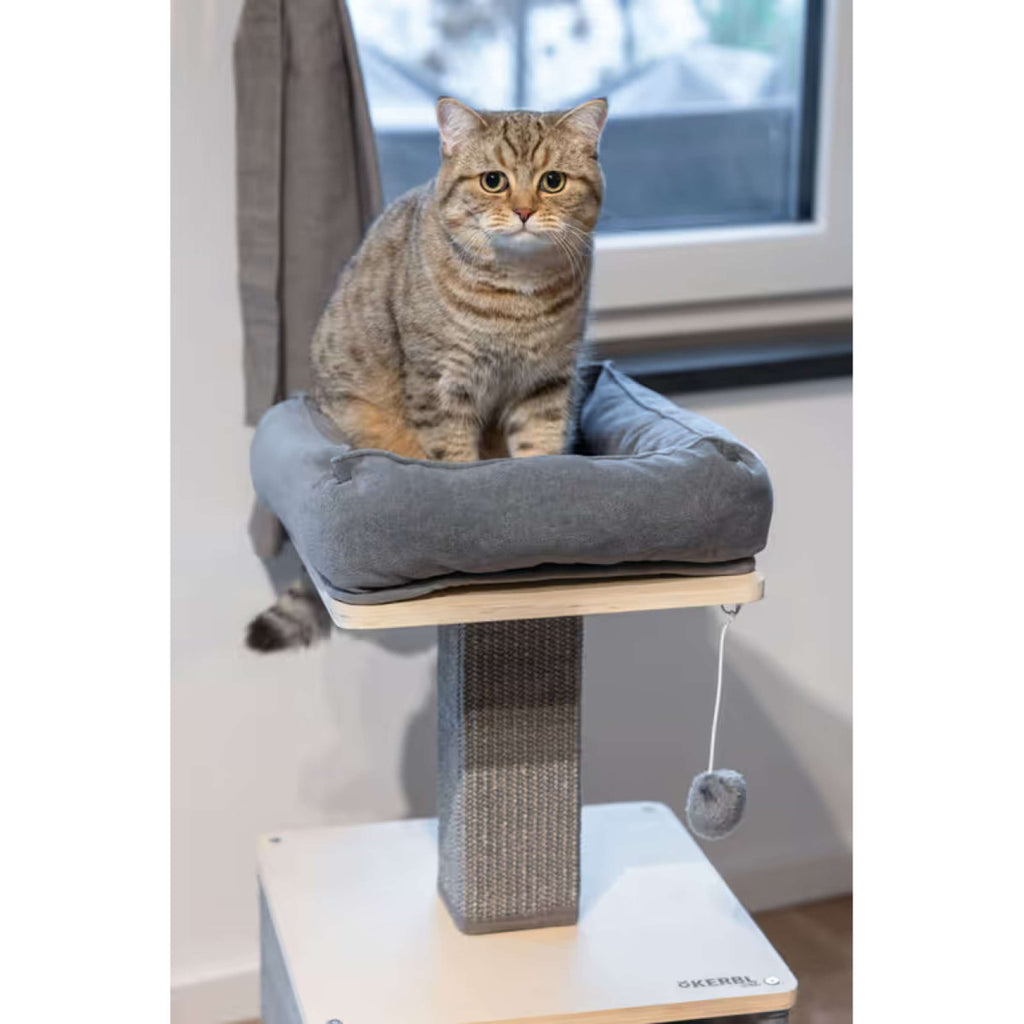 Kerbl Scratch Pole Noah II Grey