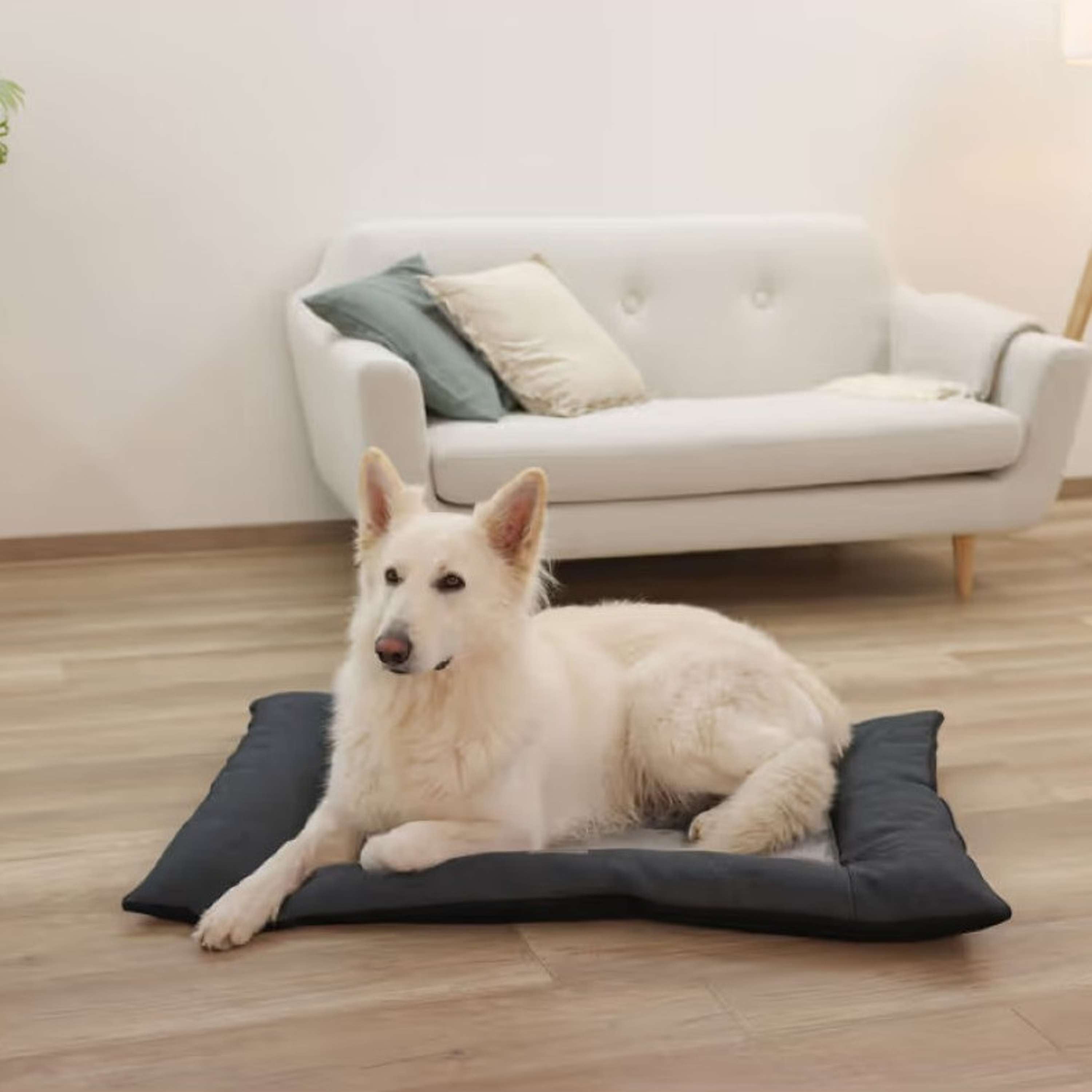 Kerbl Cushion Orthopedic Grey