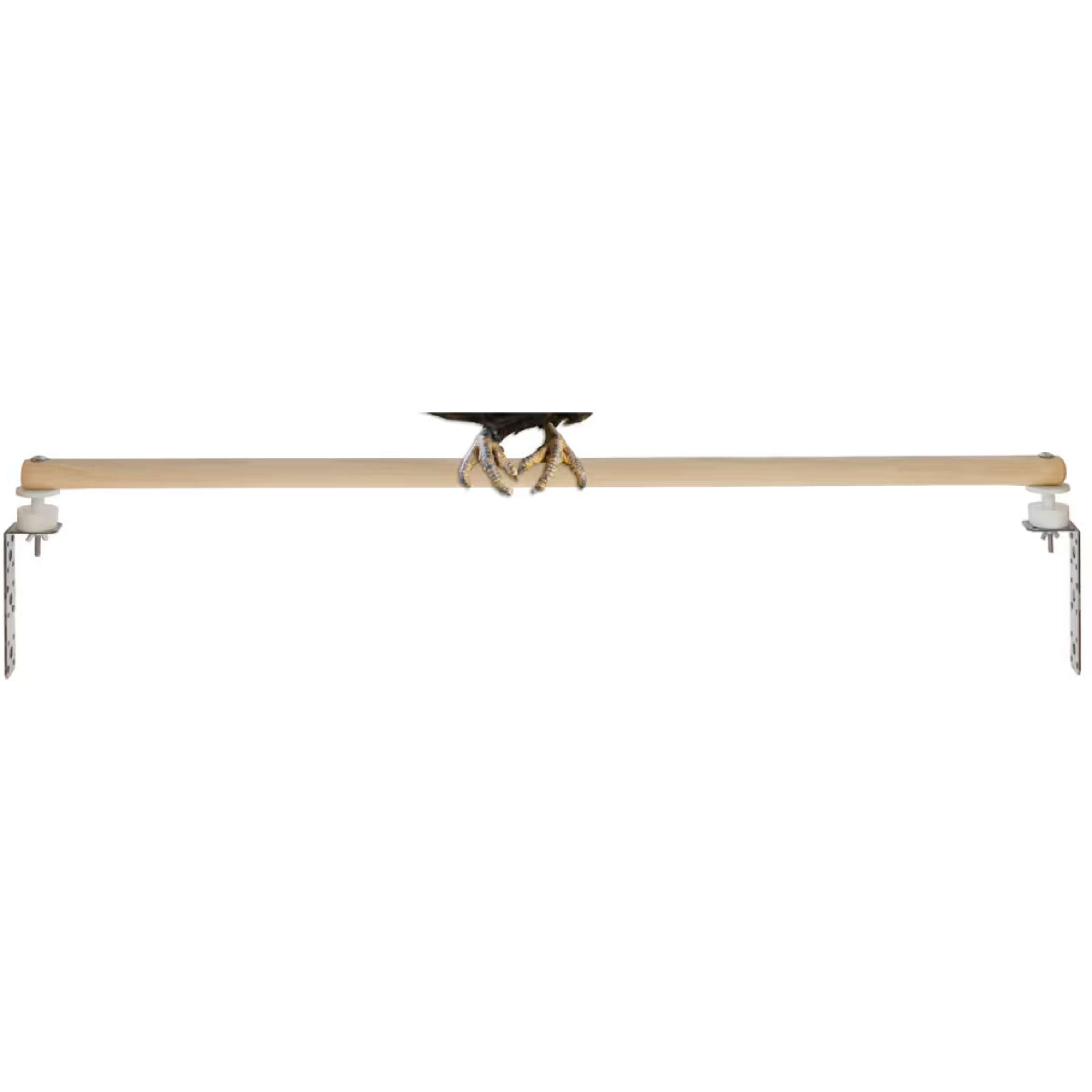 Kerbl Mite trap Perch