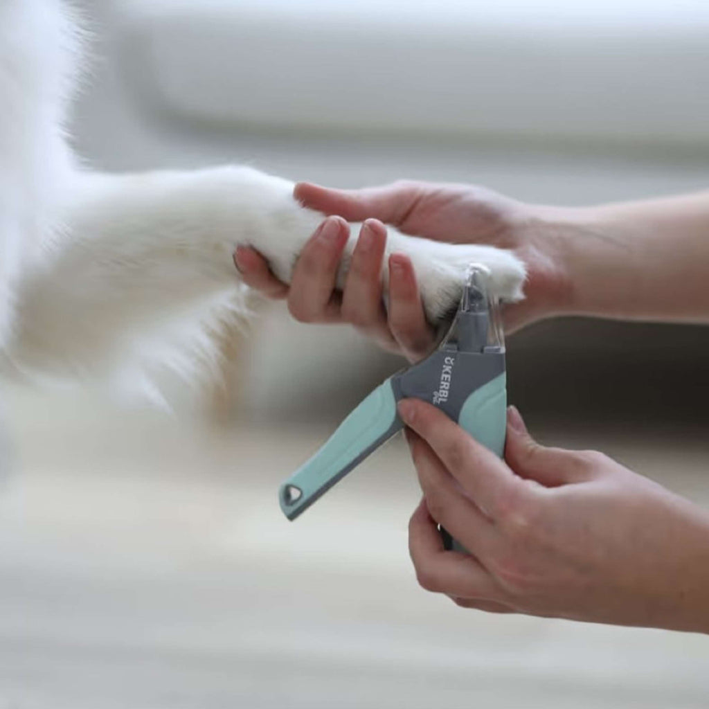 Kerbl Nail Clippers Pet Mint green