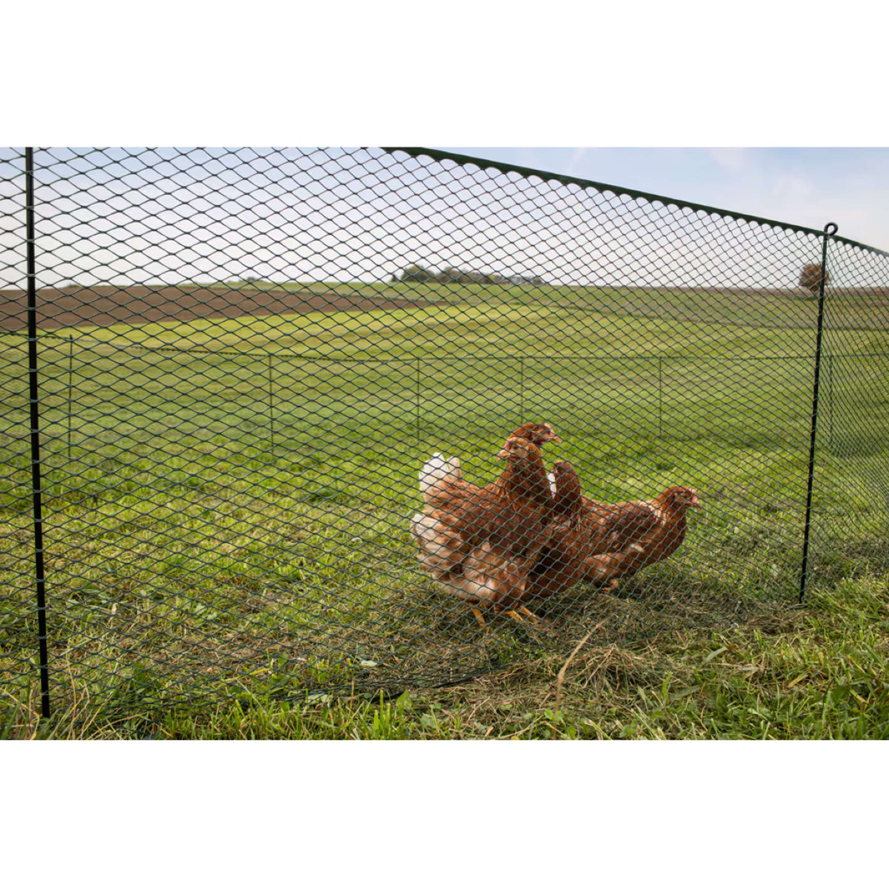 Kerbl Poultry fencing Synthetic Black