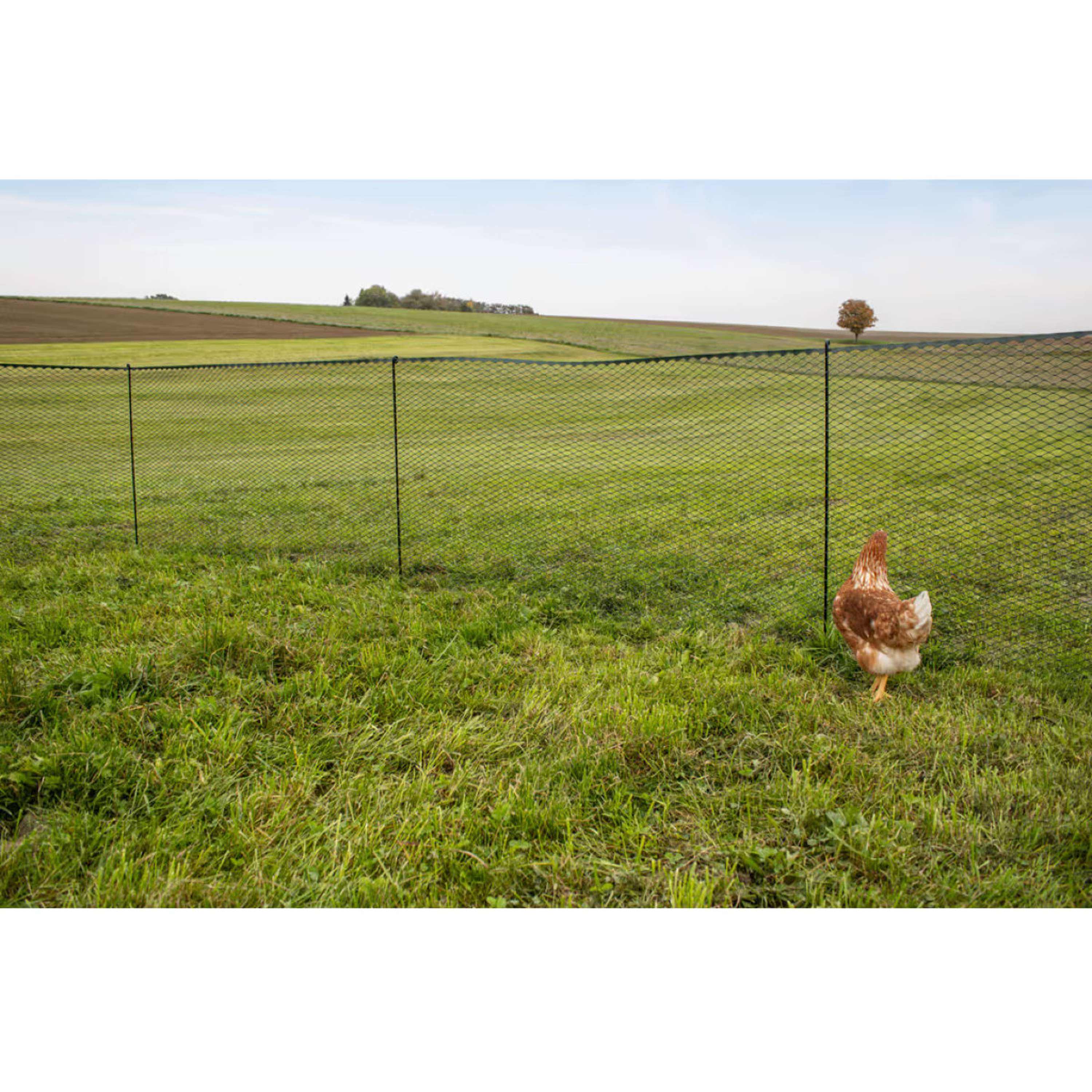 Kerbl Poultry fencing Synthetic Black