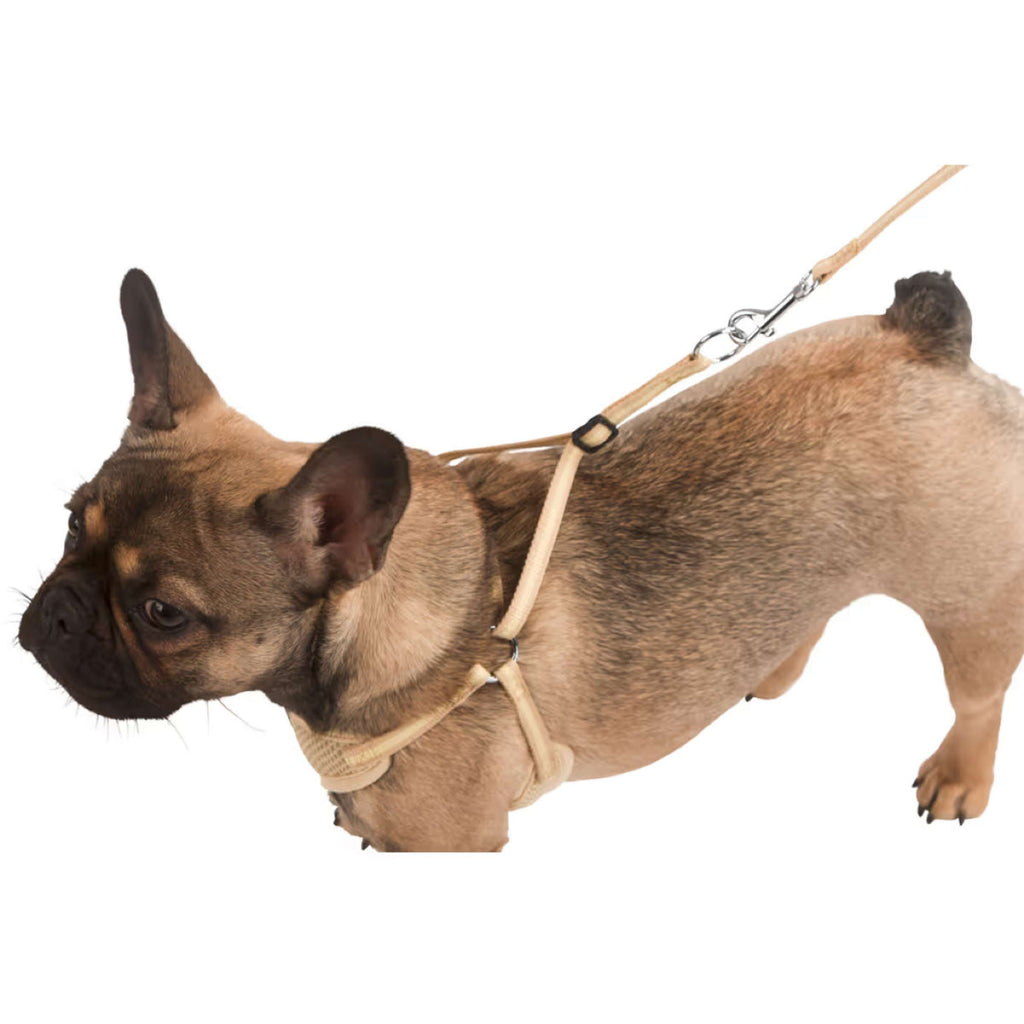 Kerbl Puppy Harness with a Line Beige