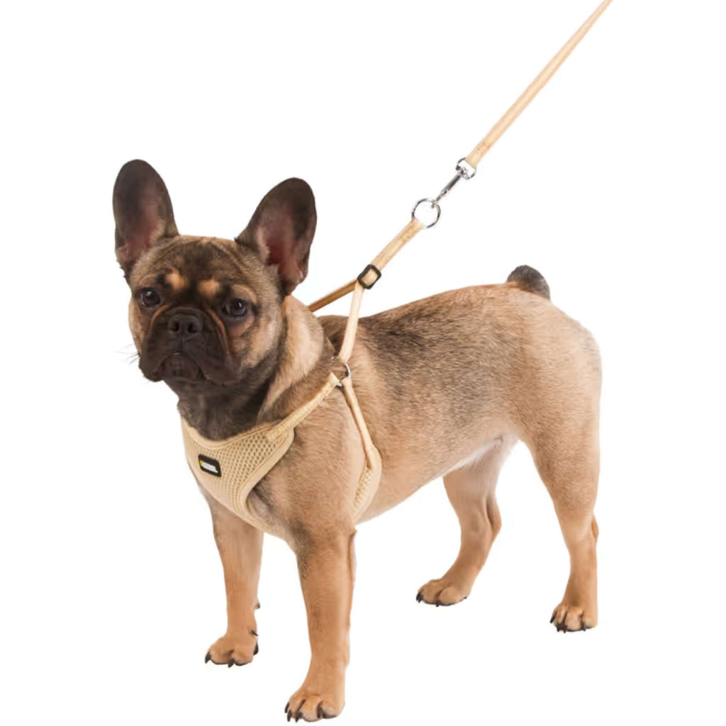 Kerbl Puppy Harness with a Line Beige