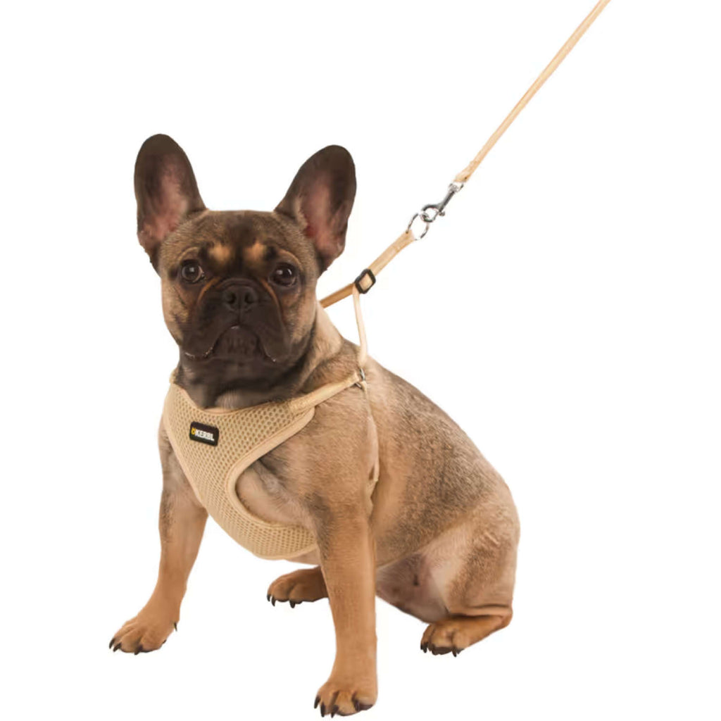 Kerbl Puppy Harness with a Line Beige