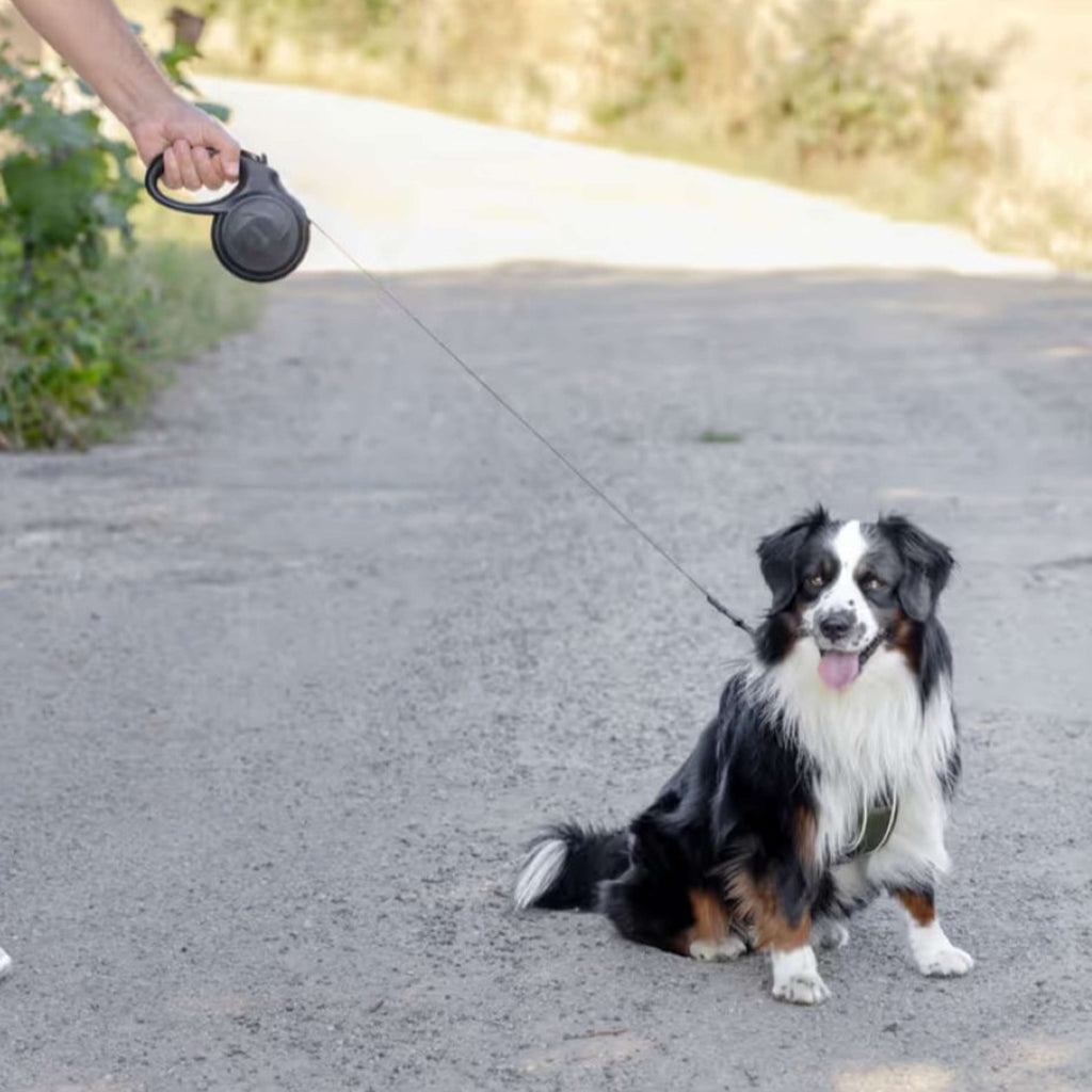 Kerbl Retractable Leash 5m Black