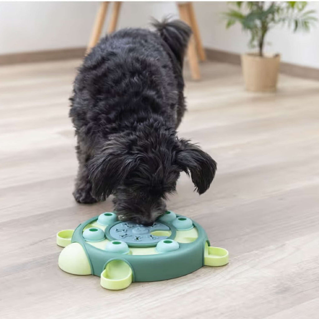 Kerbl Toy Turtle Thinking and Learning Toy Green