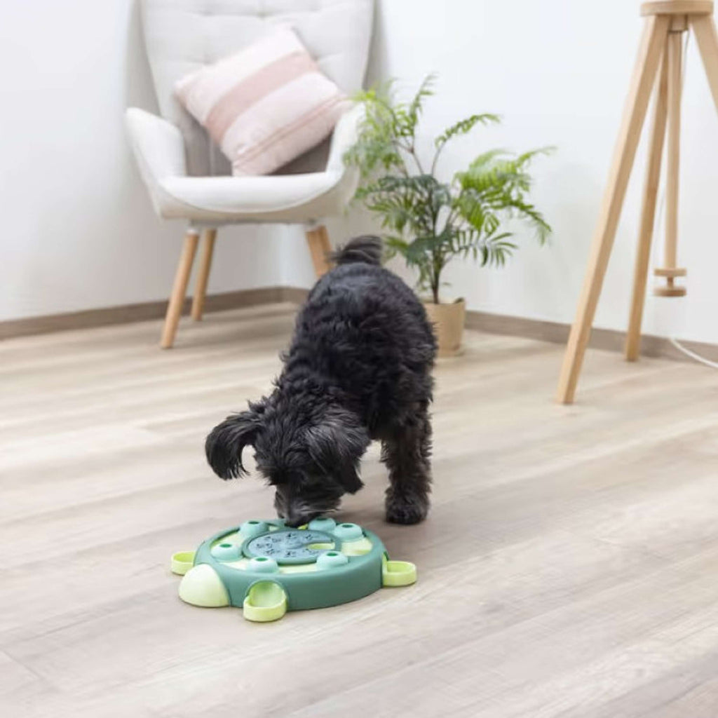 Kerbl Toy Turtle Thinking and Learning Toy Green
