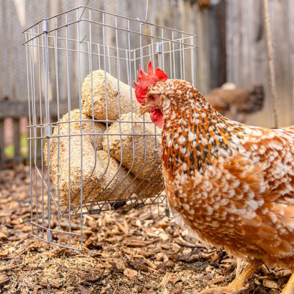 Kerbl Spelt Blocks for Chickens