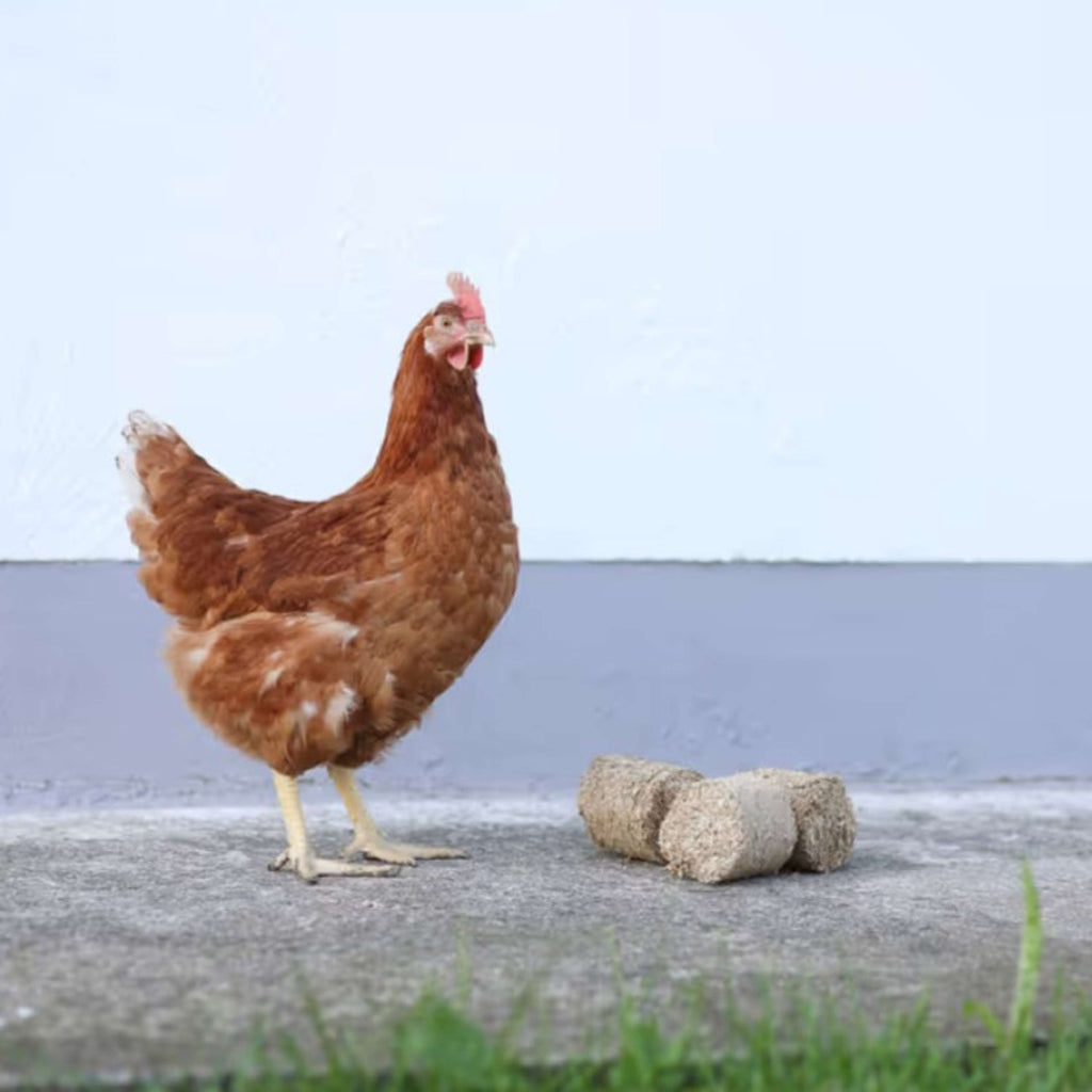 Kerbl Spelt Blocks for Chickens