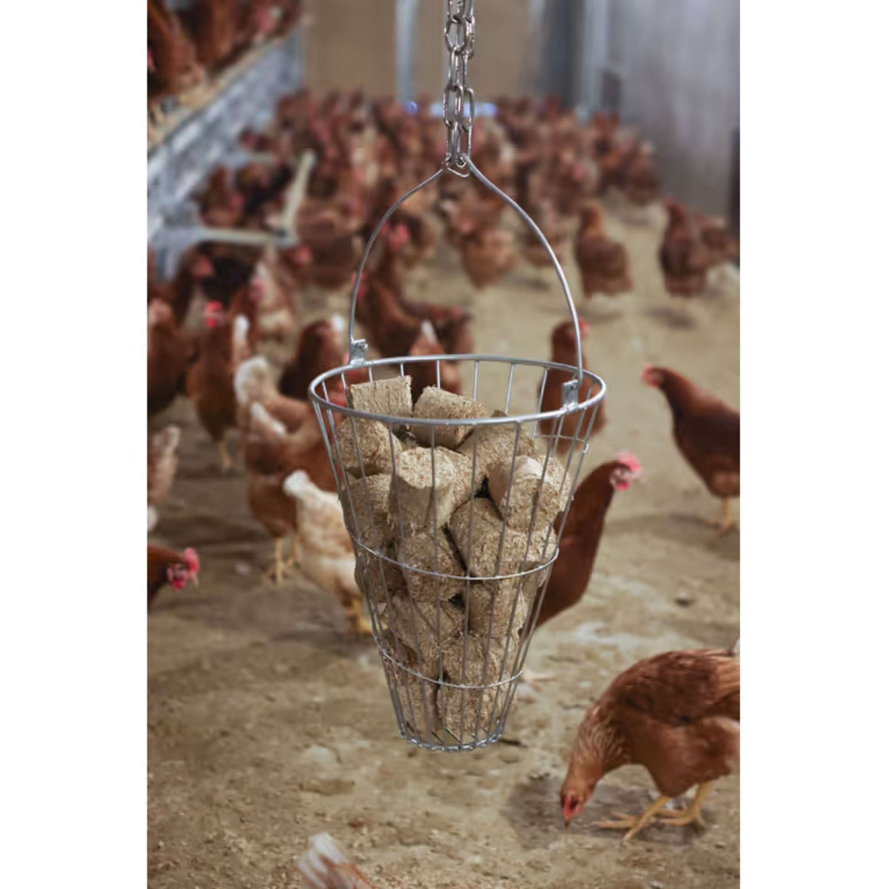 Kerbl Spelt Blocks for Chickens