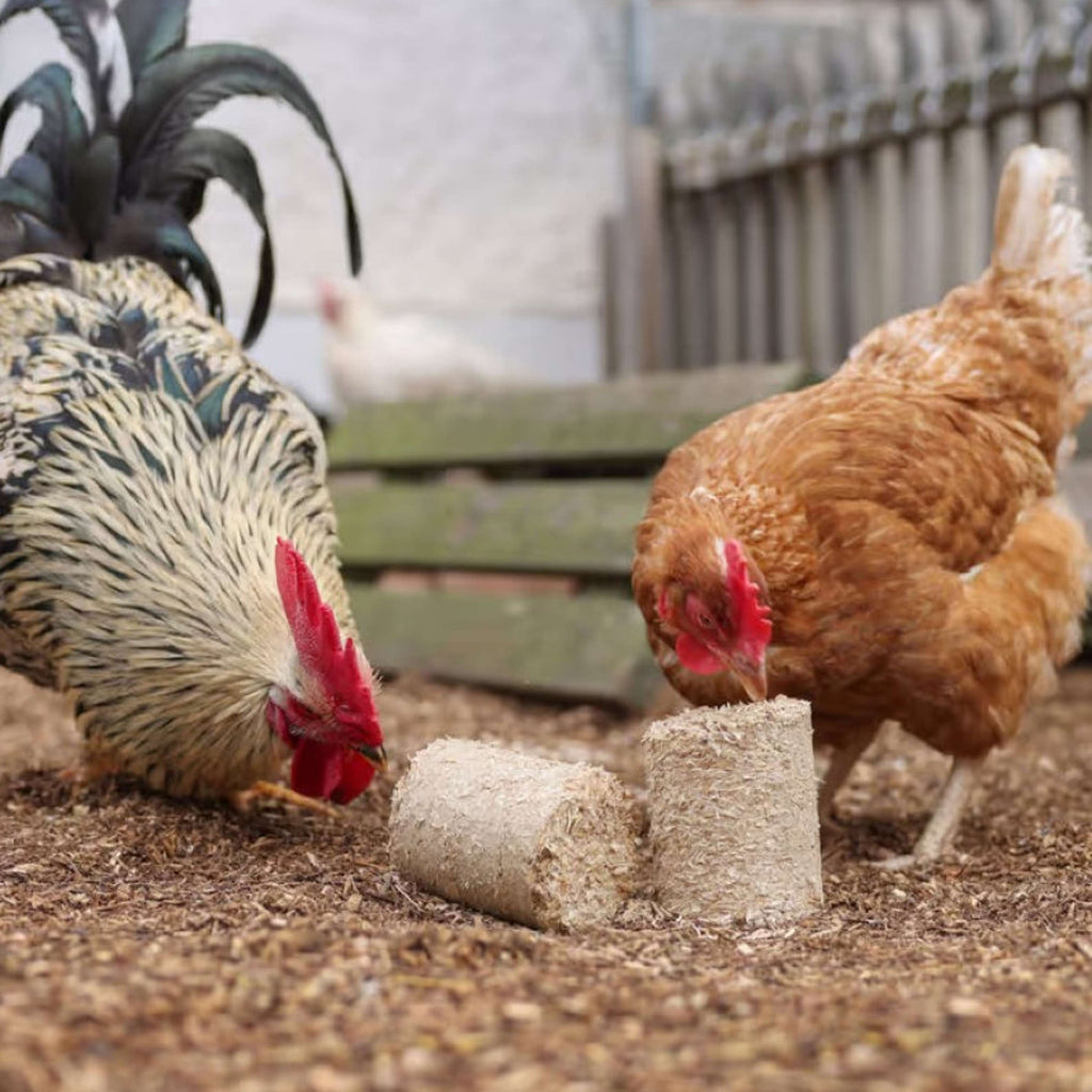 Kerbl Spelt Blocks for Chickens