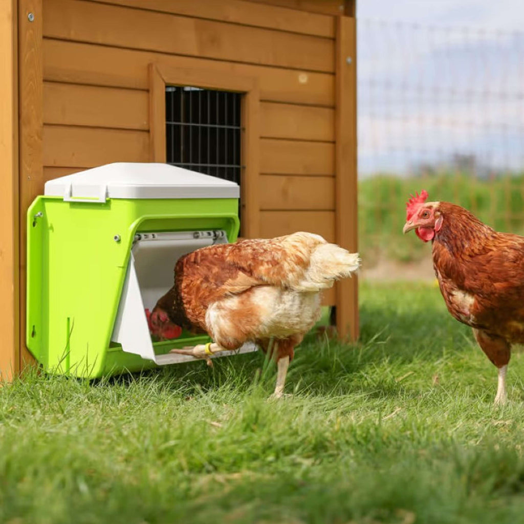 Kerbl Feeder with Protective Flap Green