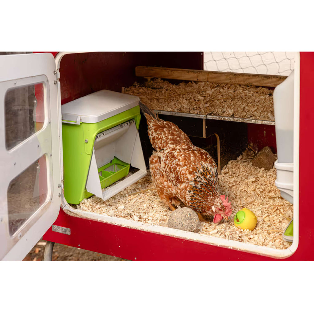 Kerbl Feeder with Protective Flap Green