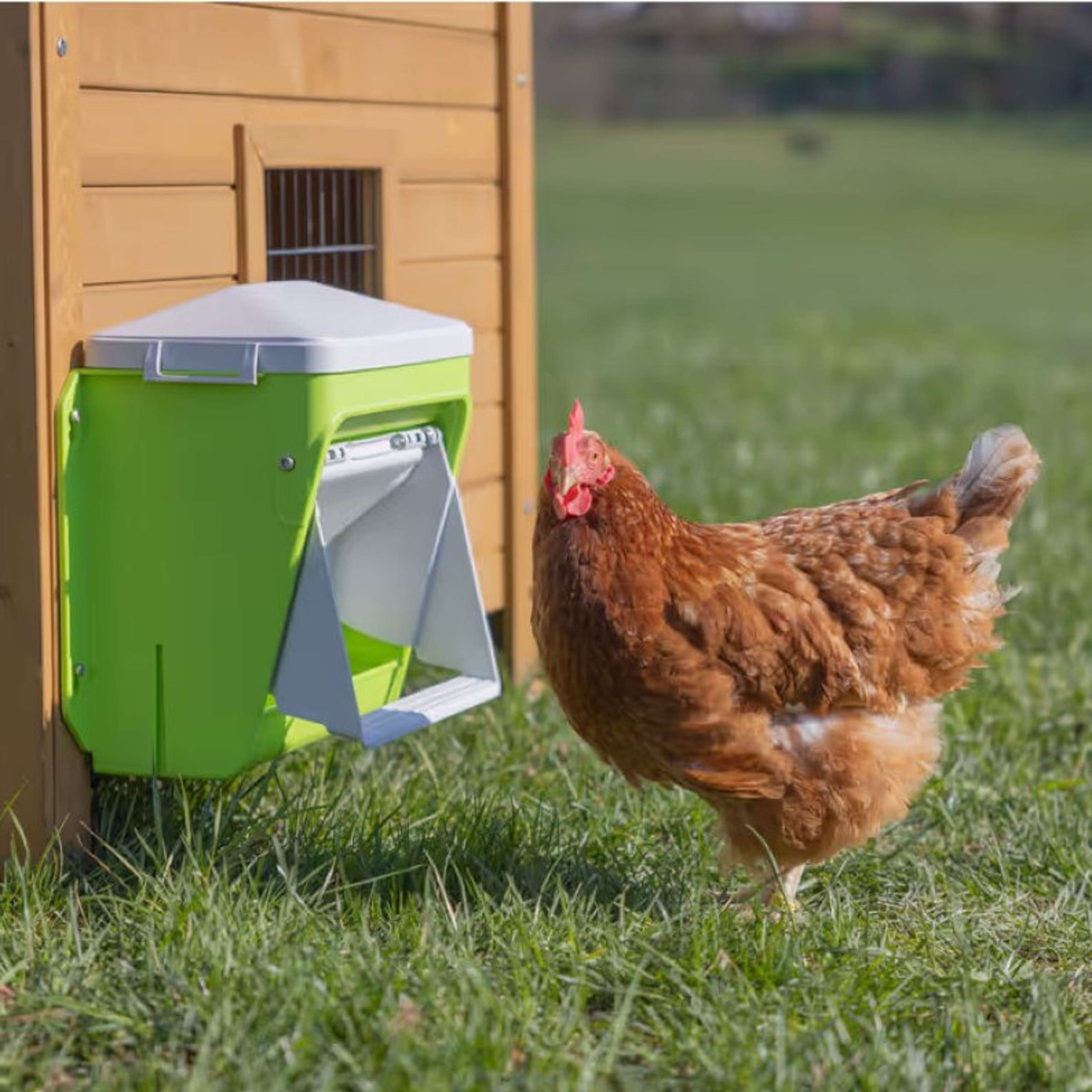 Kerbl Feeder with Protective Flap Green