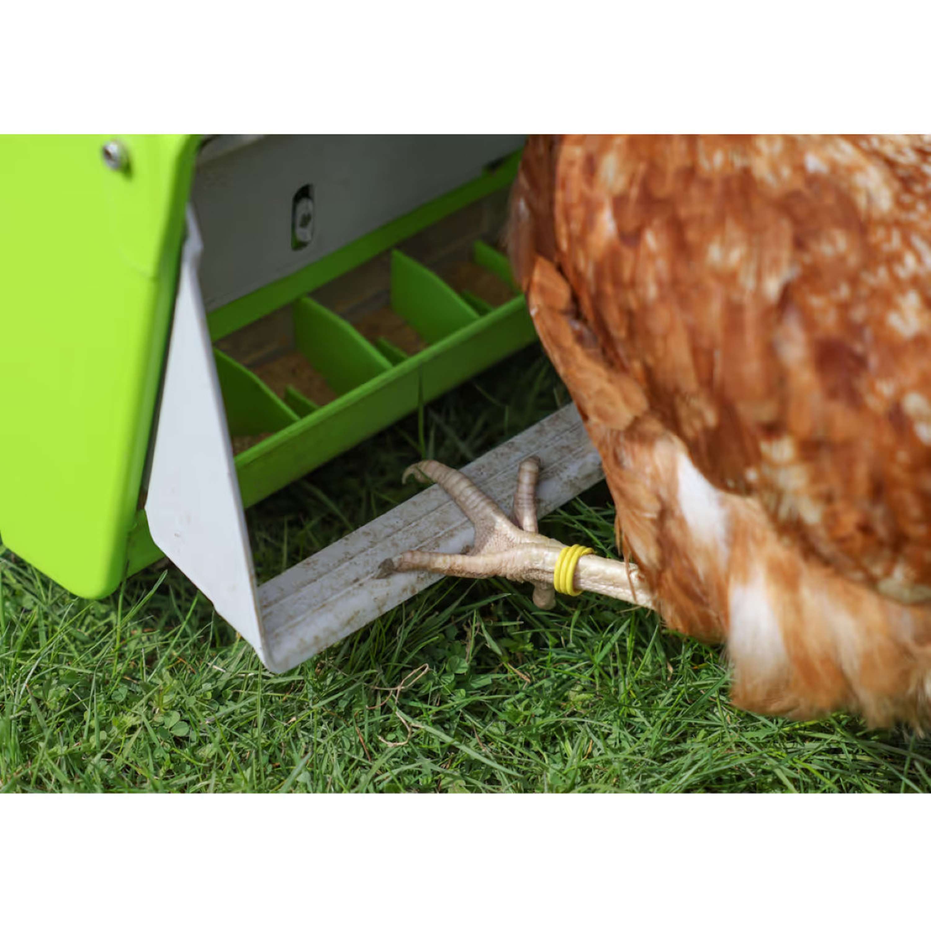 Kerbl Feeder with Protective Flap Green