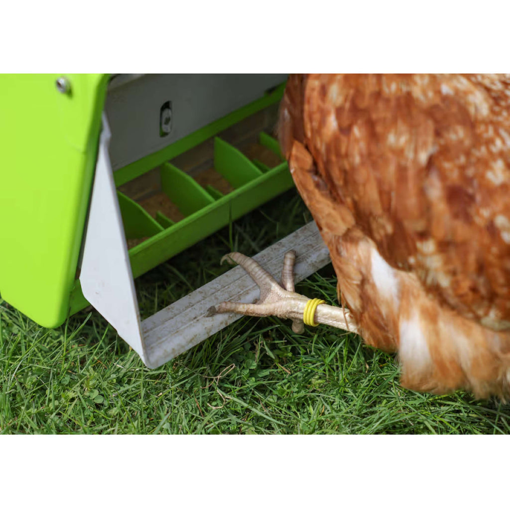 Kerbl Feeder with Protective Flap Green