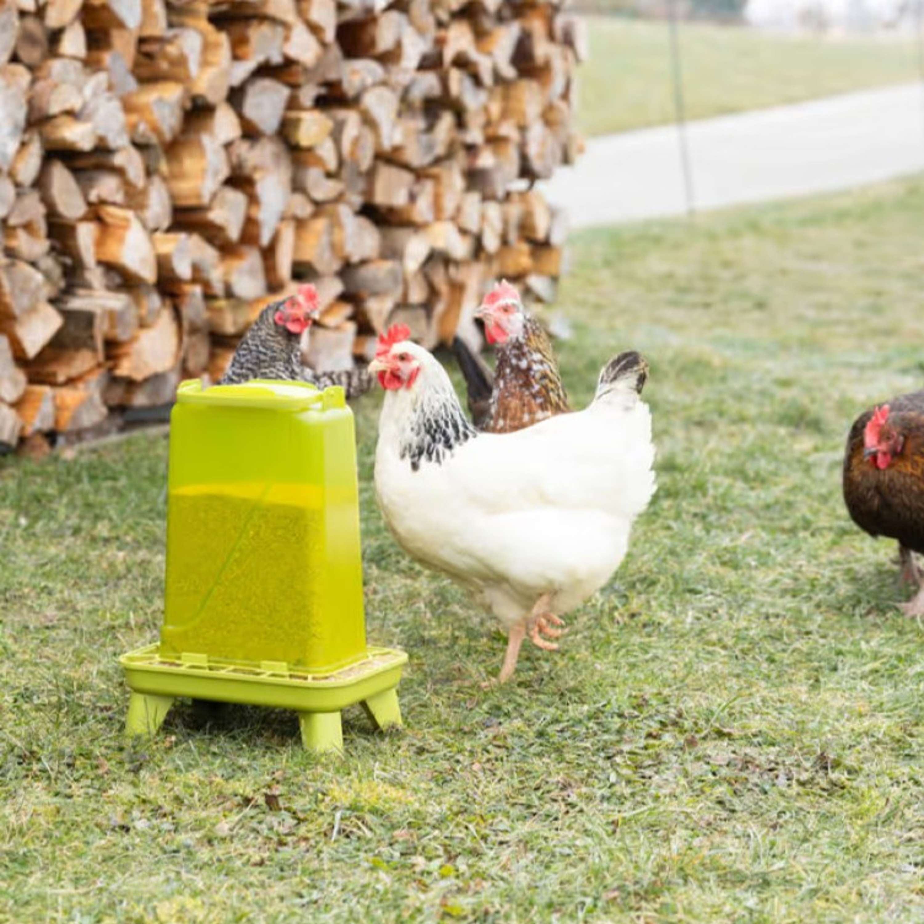 Kerbl Feeder on a Stand Green