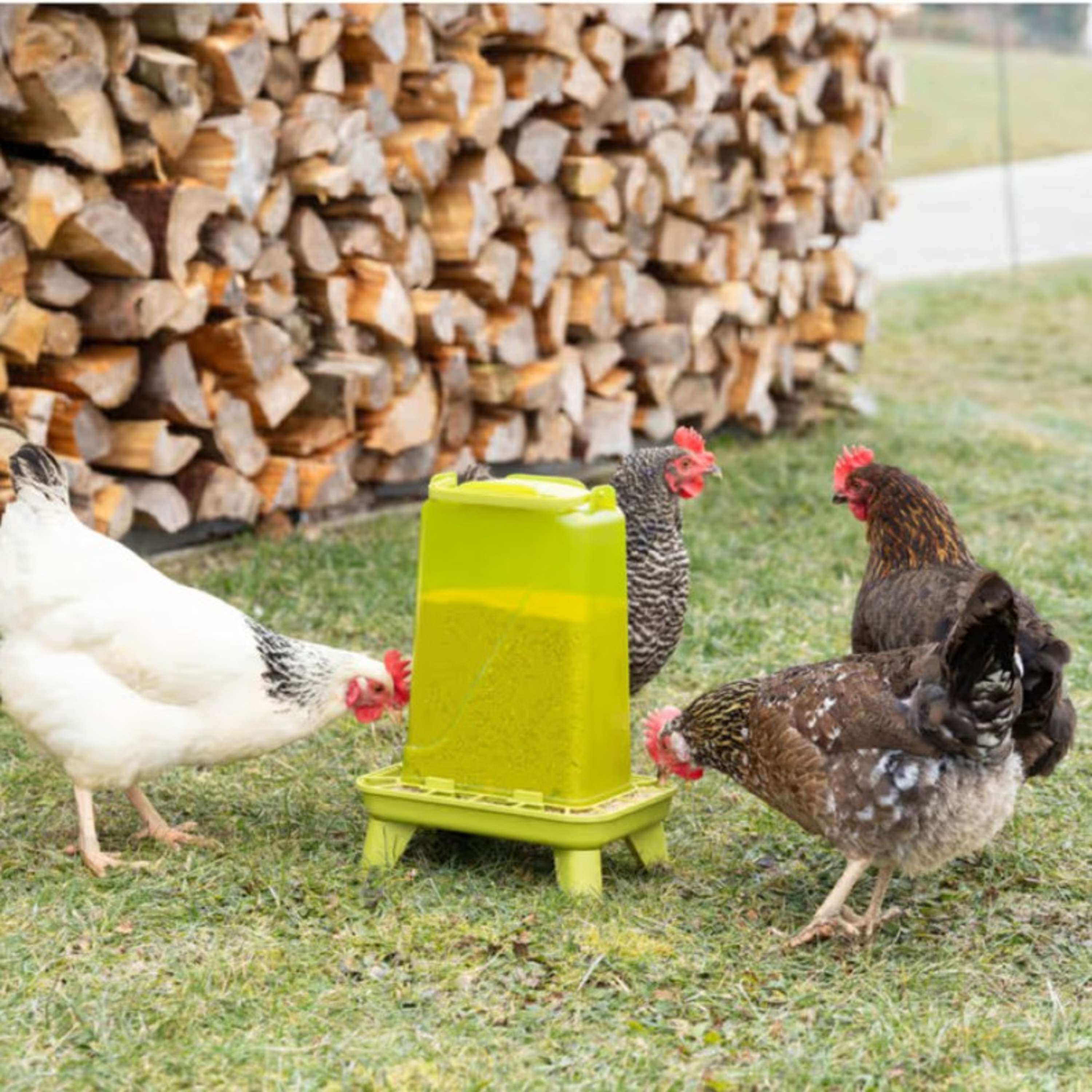Kerbl Feeder on a Stand Green