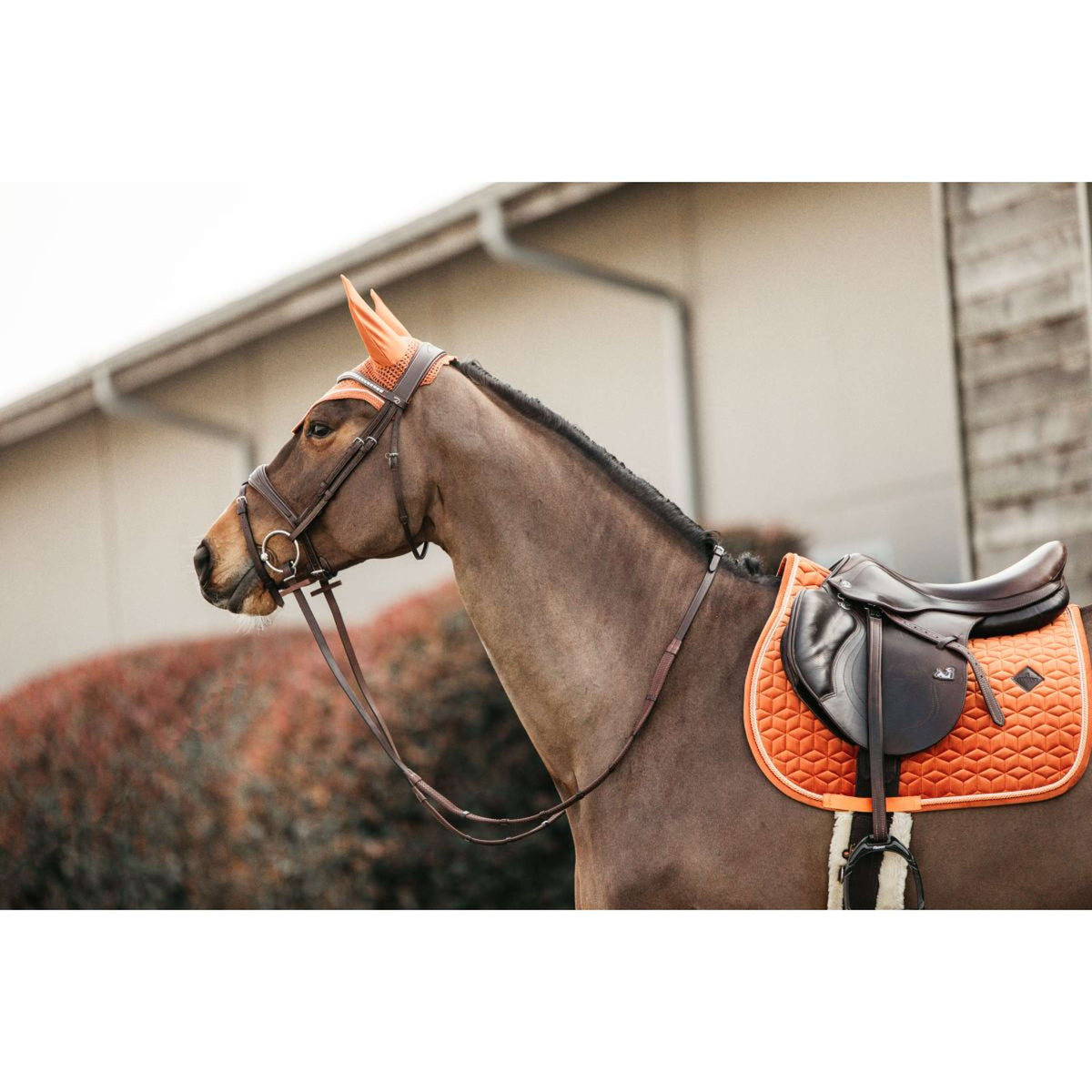 Kentucky Saddlepad Velvet Orange