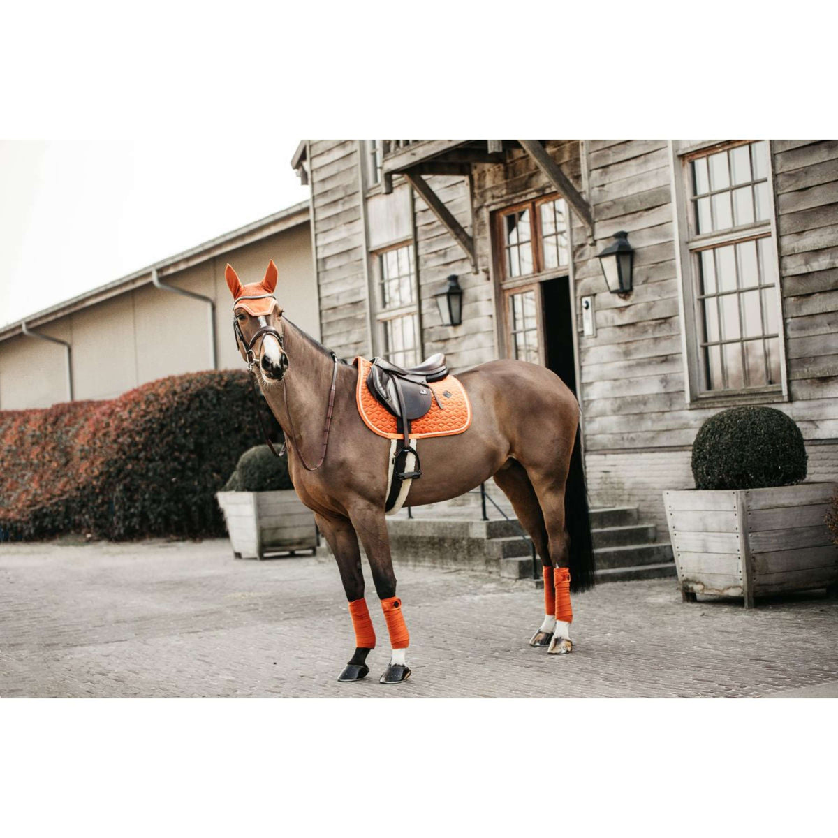 Kentucky Saddlepad Velvet Orange